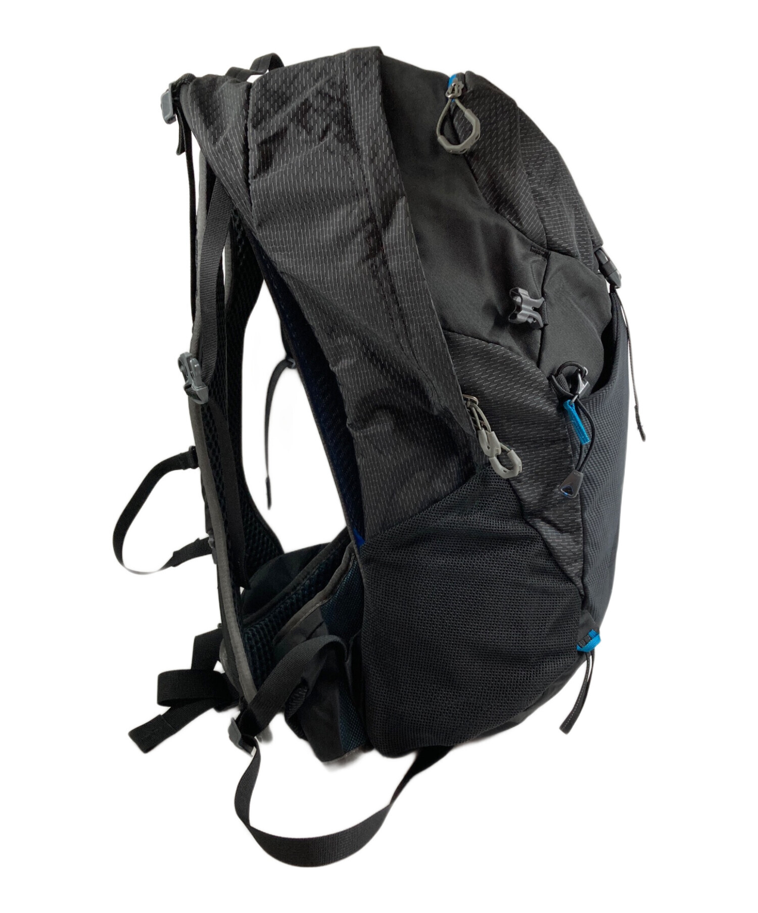 中古・古着通販】GREGORY (グレゴリー) シトロ24 リュック ブラック