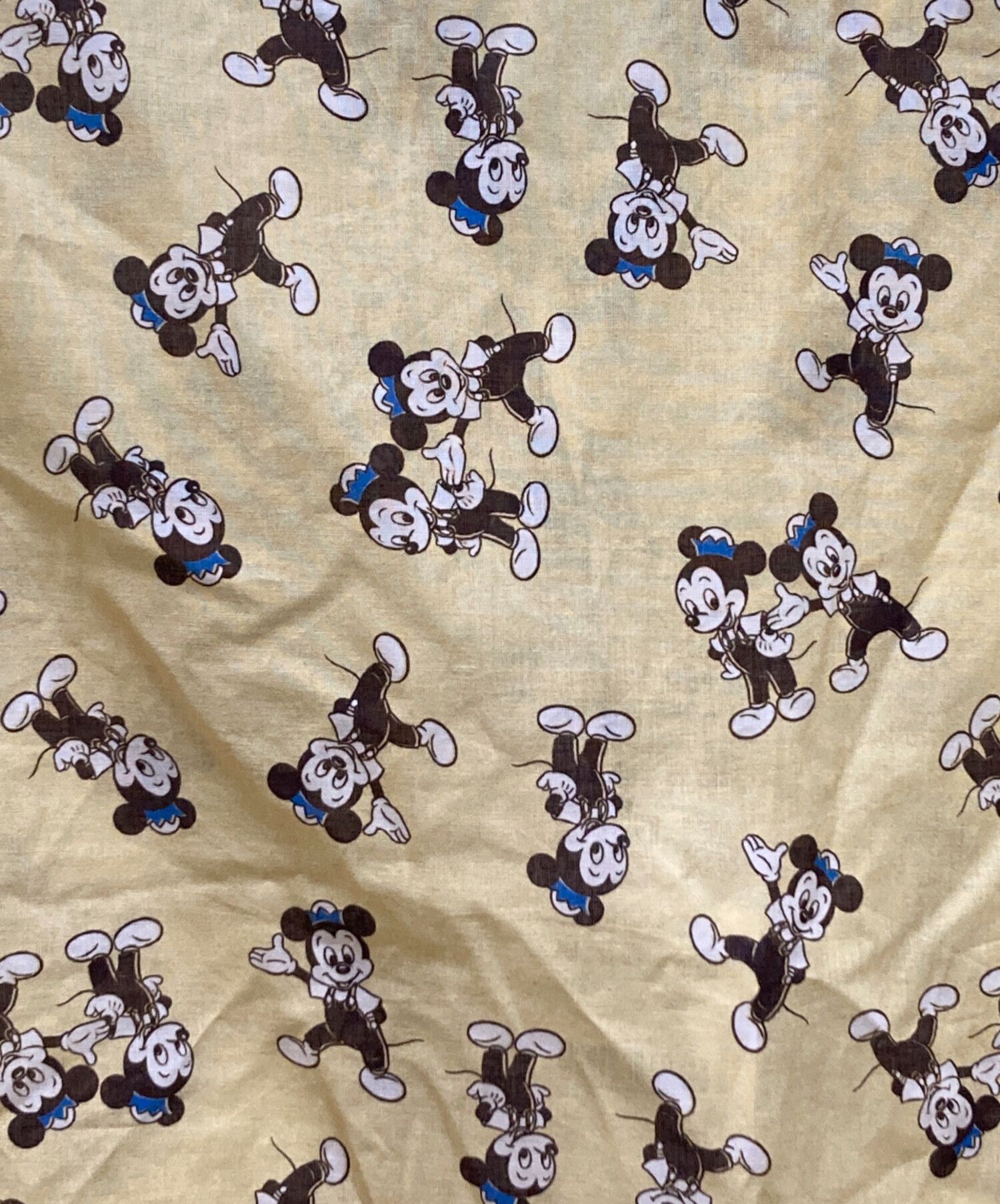 中古・古着通販】ZARA (ザラ) Disney (ディズニー) Harry Lambert