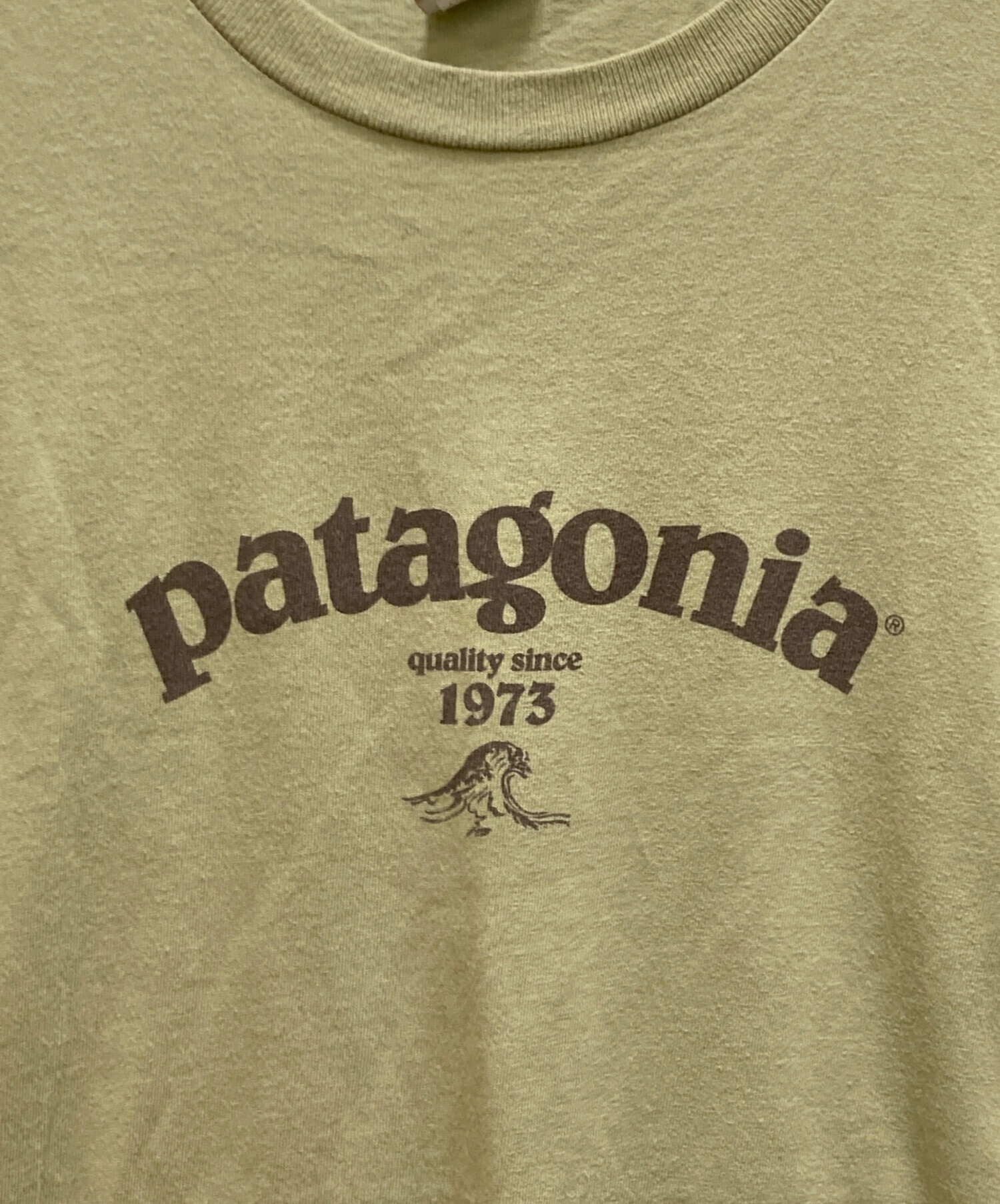 中古・古着通販】Patagonia (パタゴニア) Beneficial T's ロゴTシャツ