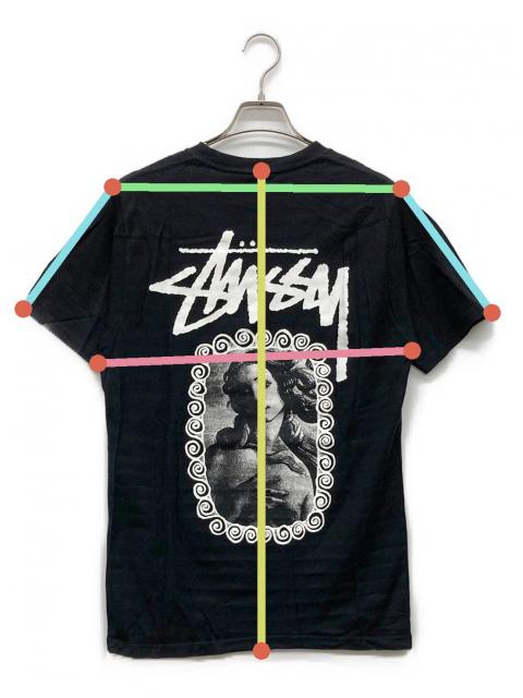 中古・古着通販】stussy (ステューシー) ヴィーナスプリント半袖T