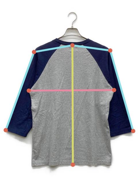 中古・古着通販】stussy (ステューシー) スカルプリントラグランT