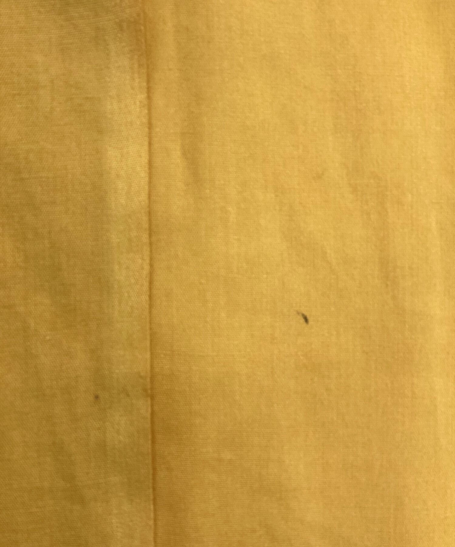 中古・古着通販】KING LOUIE (キングルイ) ボーリングシャツ イエロー