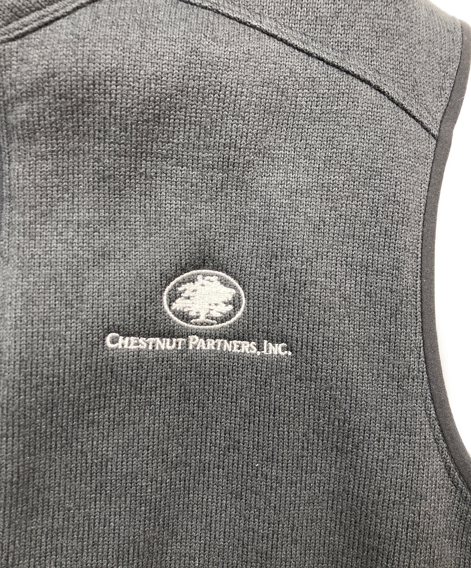 中古・古着通販】ARC'TERYX (アークテリクス) COVERT VEST ブラック