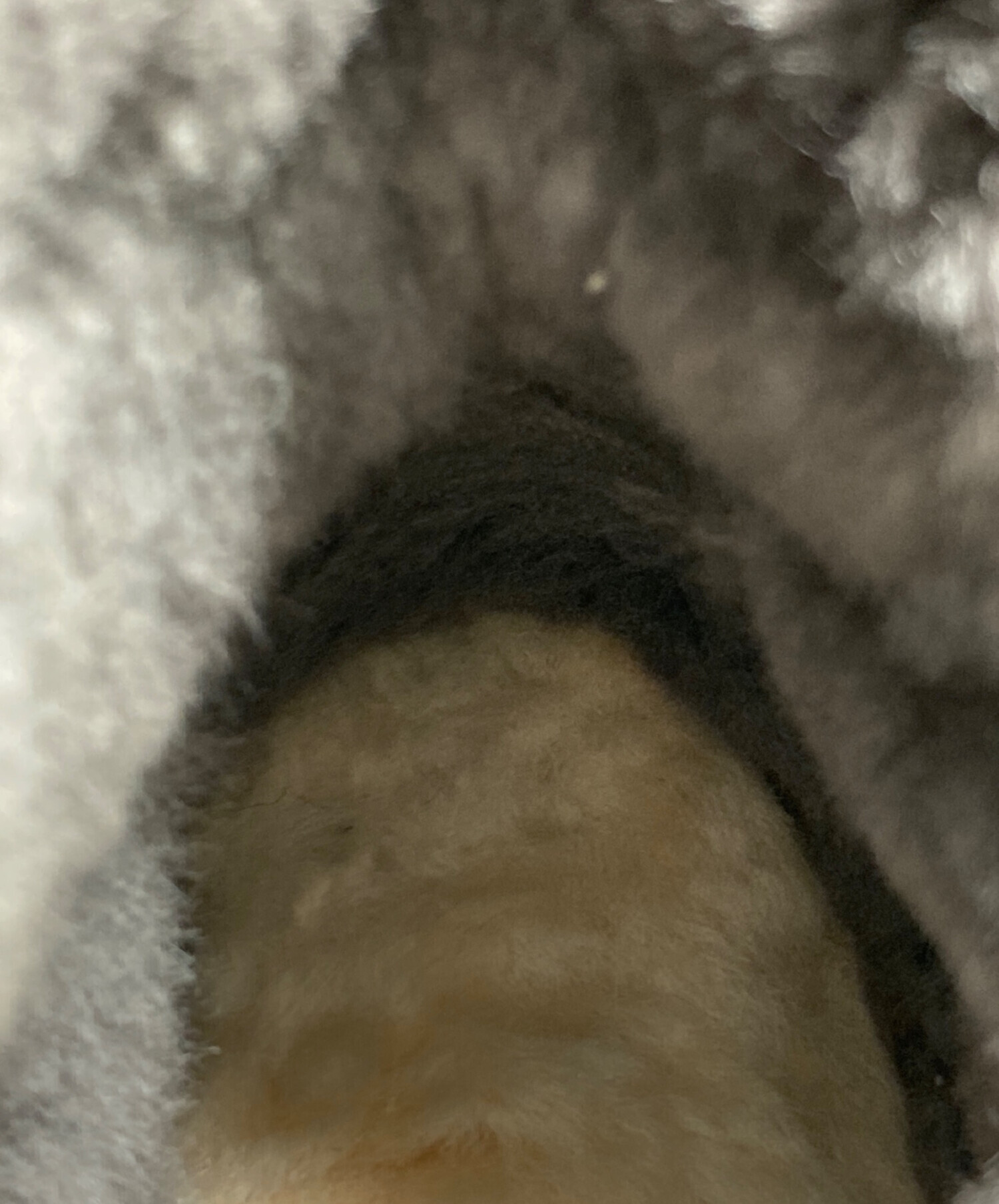 中古・古着通販】JUMBO UGG (ジャンボアグ) ムートンブーツ グレー