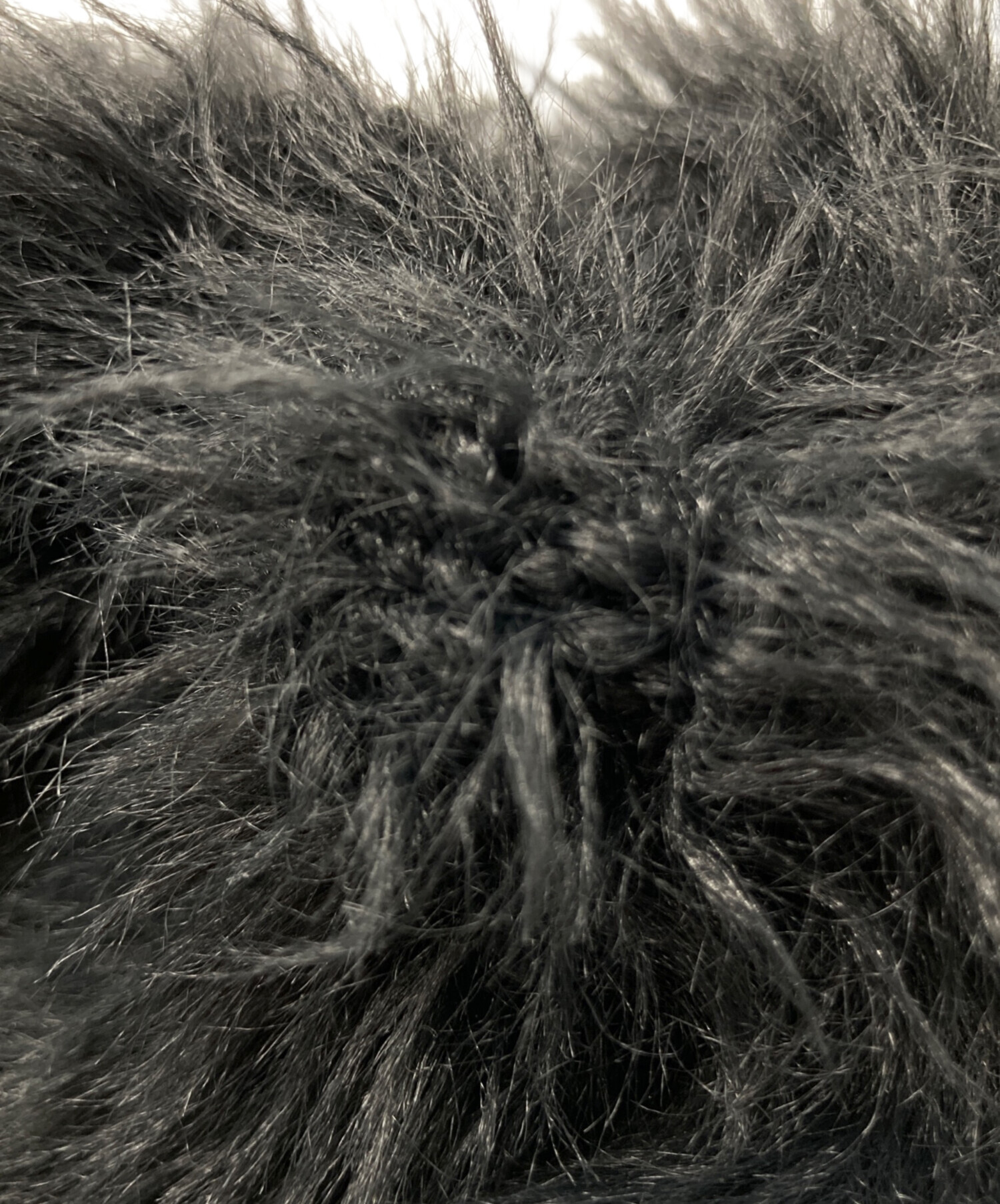 中古・古着通販】LAD MUSICIAN (ラッドミュージシャン) LOOP YARN