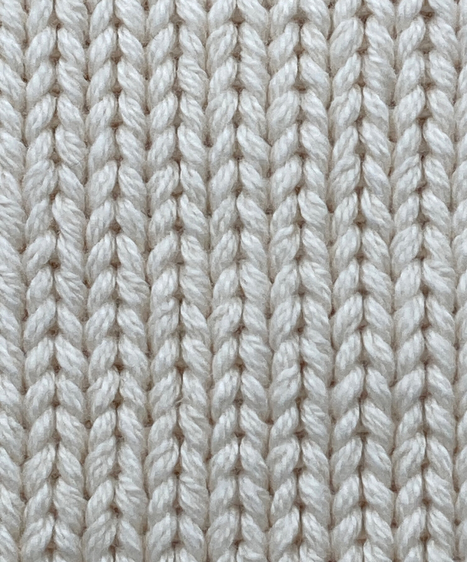 中古・古着通販】Sea Room Lynn (シールームリン) HeavyコットンLOOSE