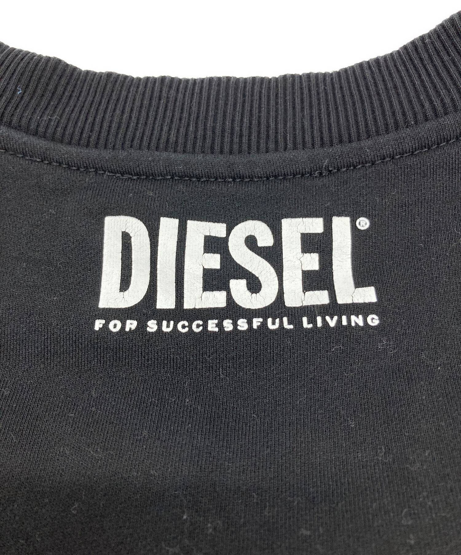 中古・古着通販】DIESEL (ディーゼル) STENCH蜘蛛刺繍プリント 
