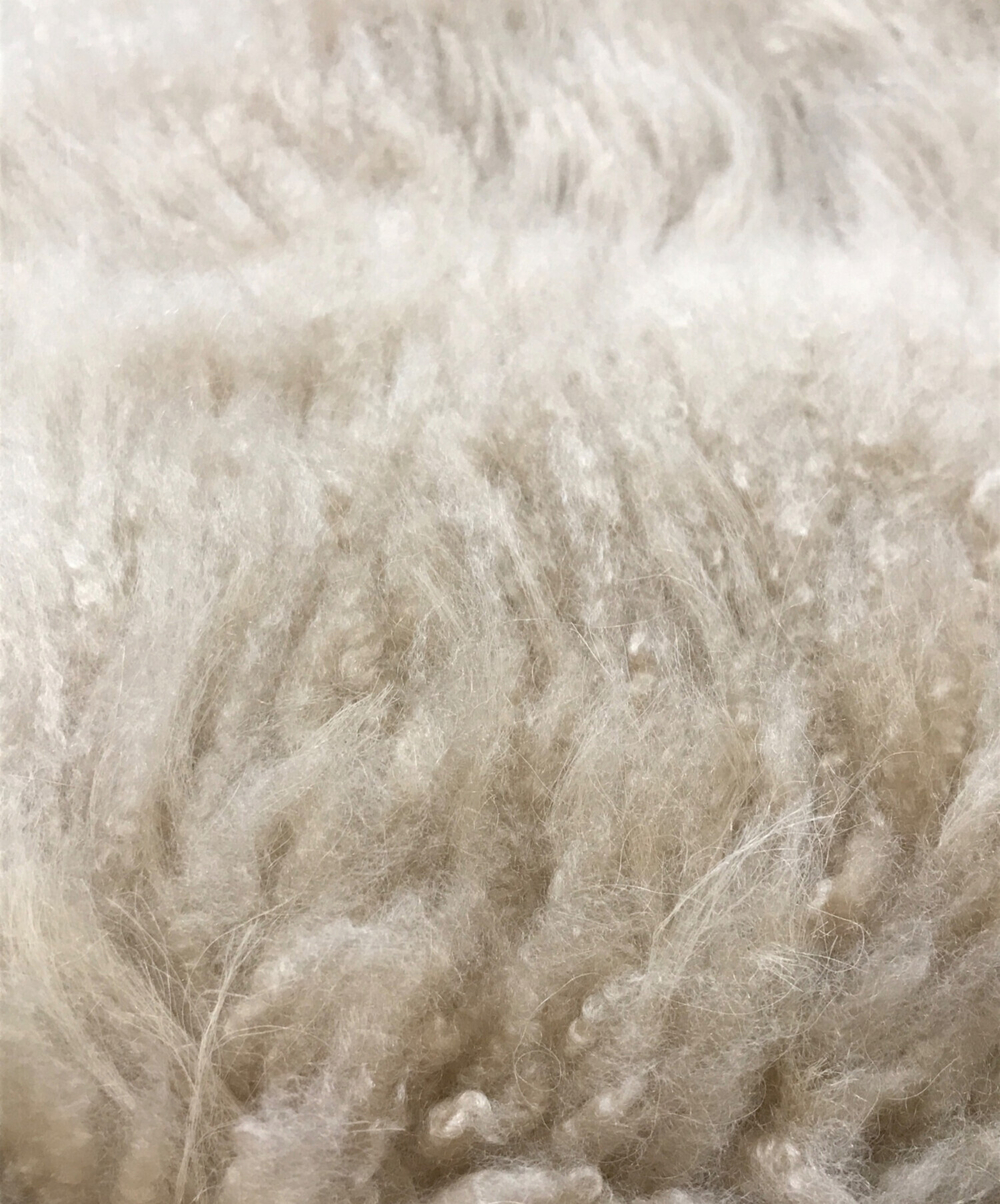 【美品✨】RonHerman ファーベスト ゴートレザー ベージュ S 中古・古着通販】Ron Herman (ロンハーマン) Fur Vest / ゴートファー