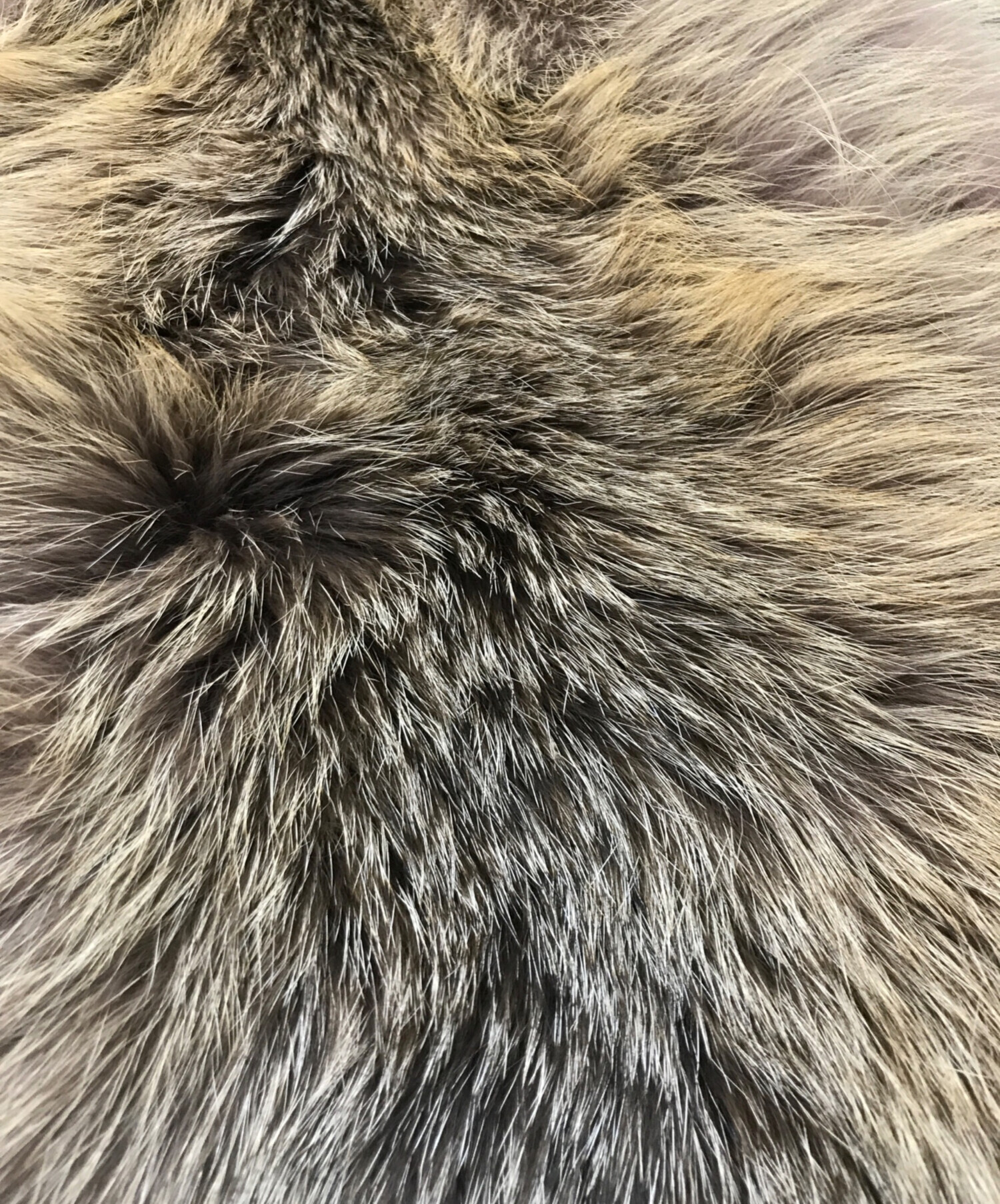 中古・古着通販】BLANCHA (ブランカ) フォックスファーベスト ベージュ