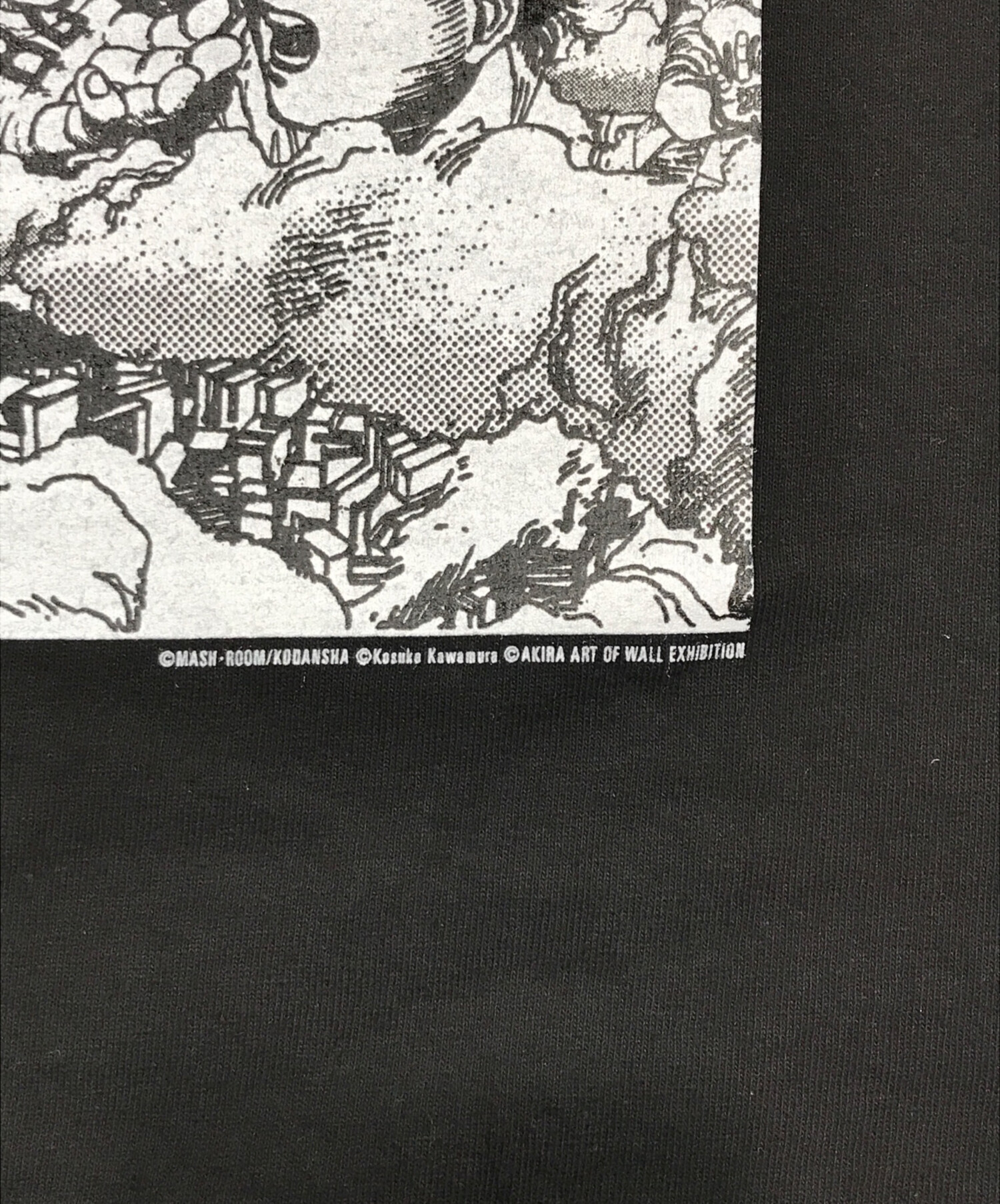 中古・古着通販】AKIRA ART OF WALL (アキラ アート オブ ウォール) T
