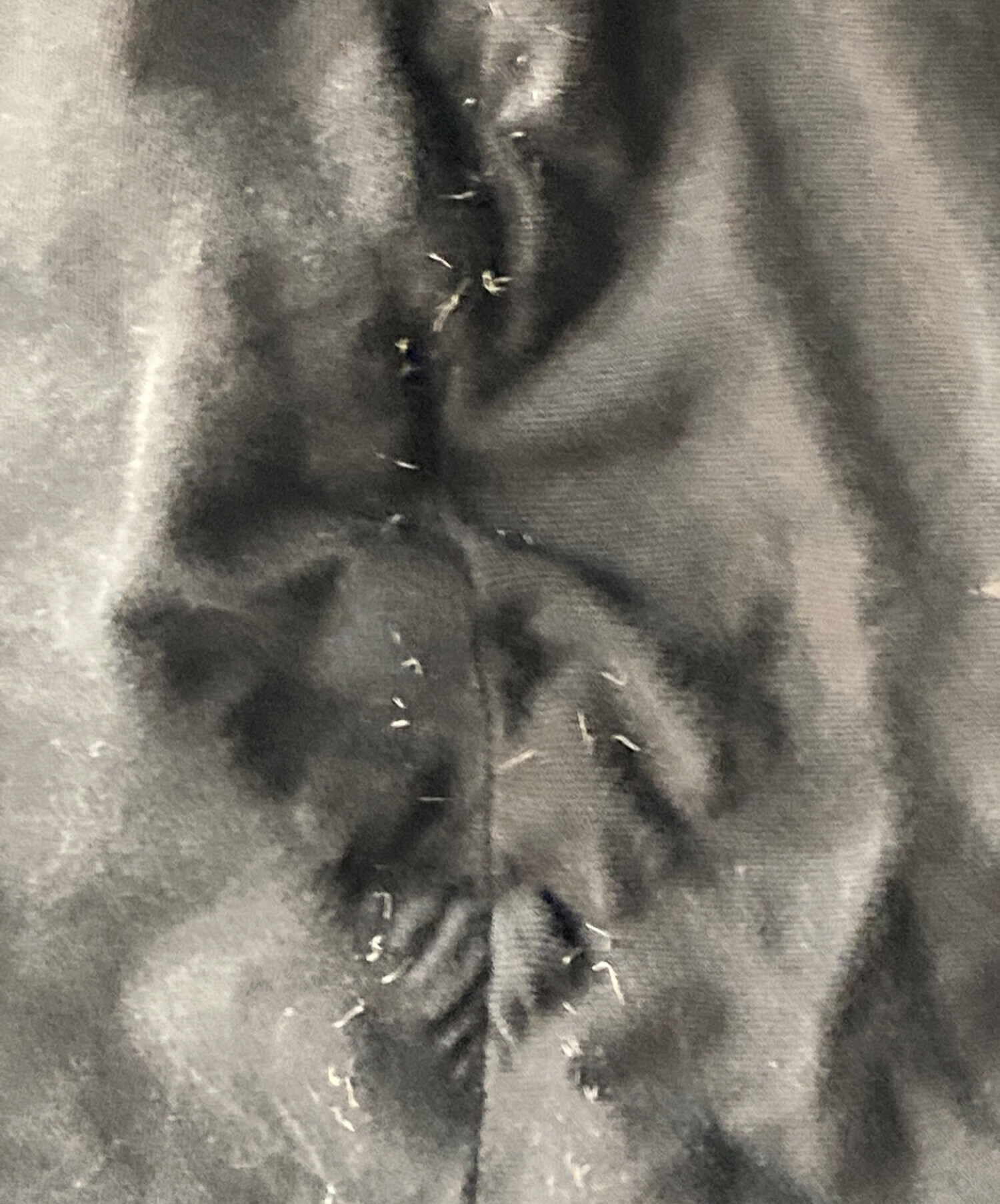 美品☆GUCCI ジップサイドライン ギャバジンパンツ ブラック 44 S相当 グッチ GUCCI サイドラインジャージパンツ の買取価格実績