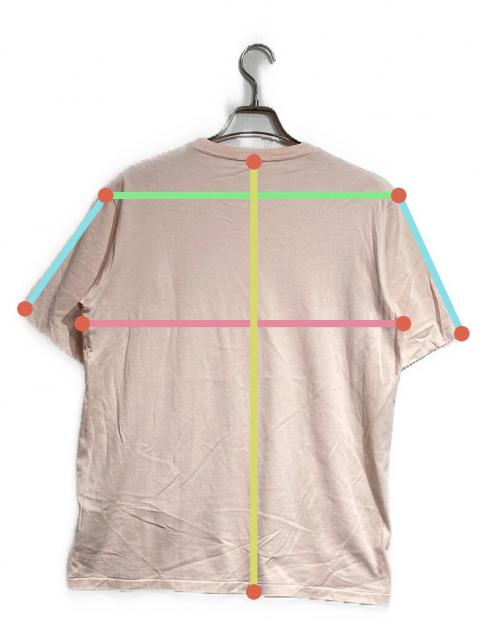 中古・古着通販】AURALEE (オーラリー) LUSTER PLAITING TEE/ラスター