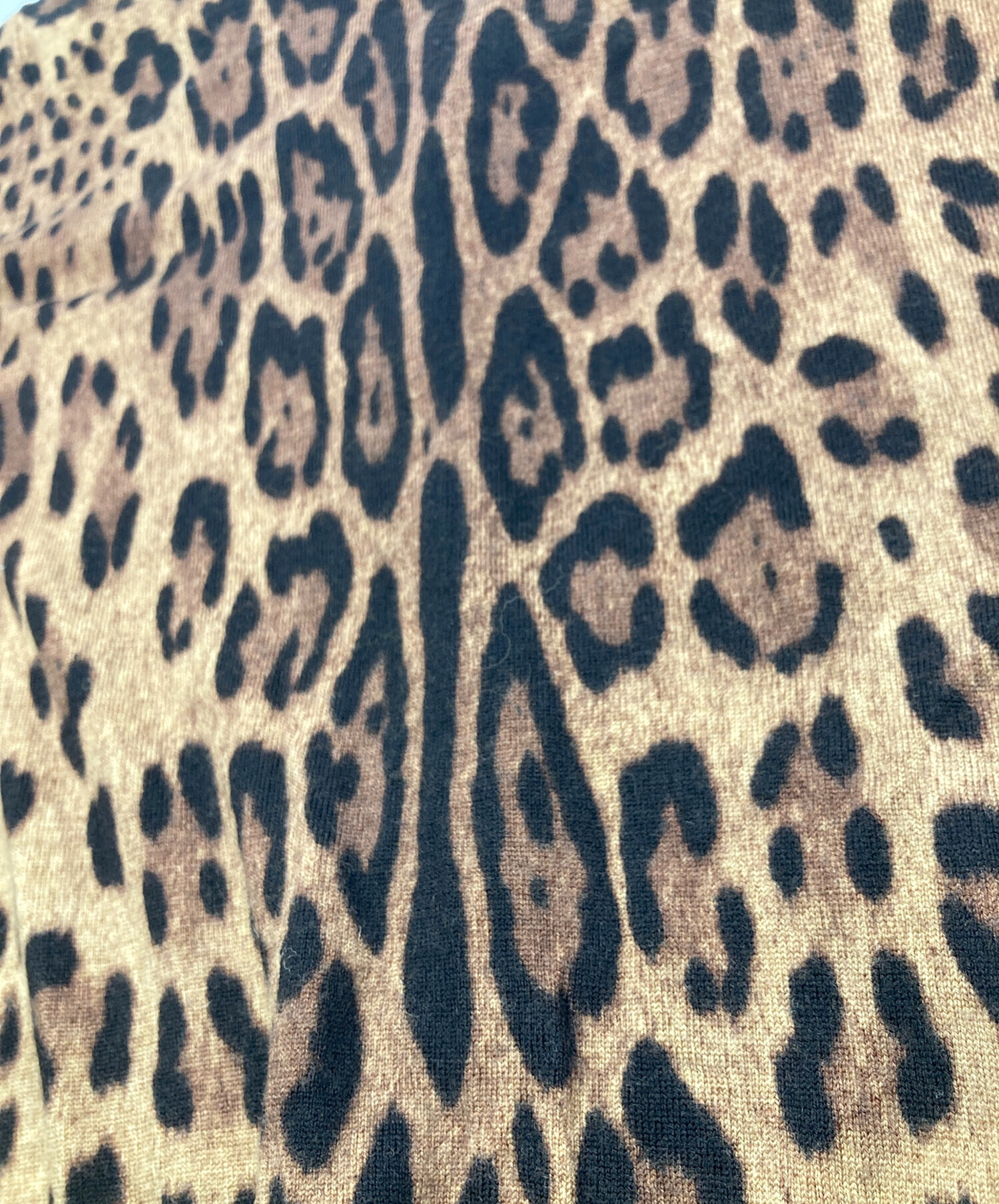 中古・古着通販】DOLCE & GABBANA (ドルチェ＆ガッバーナ) レオパード