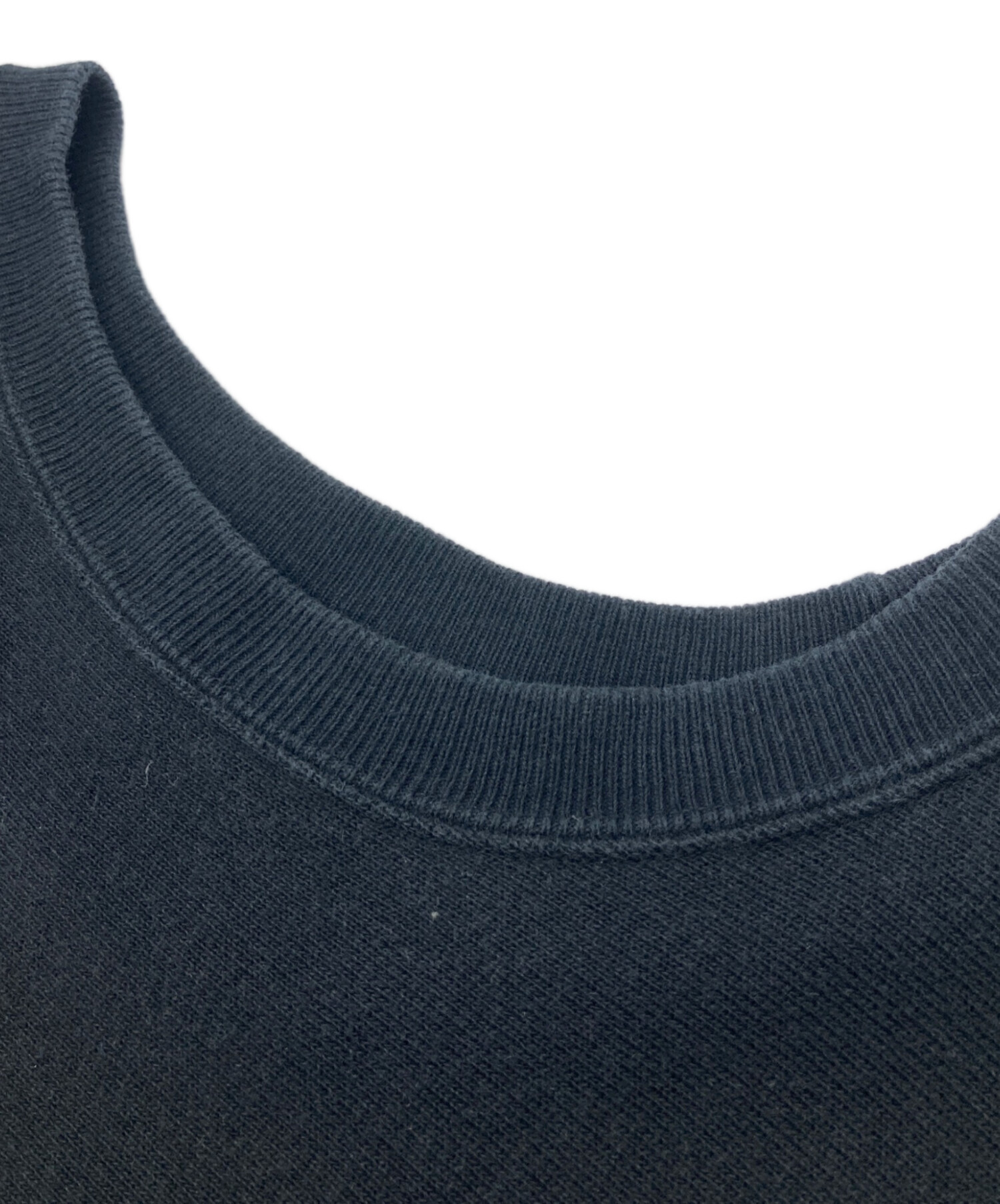 中古・古着通販】stussy (ステューシー) Champion (チャンピオン 