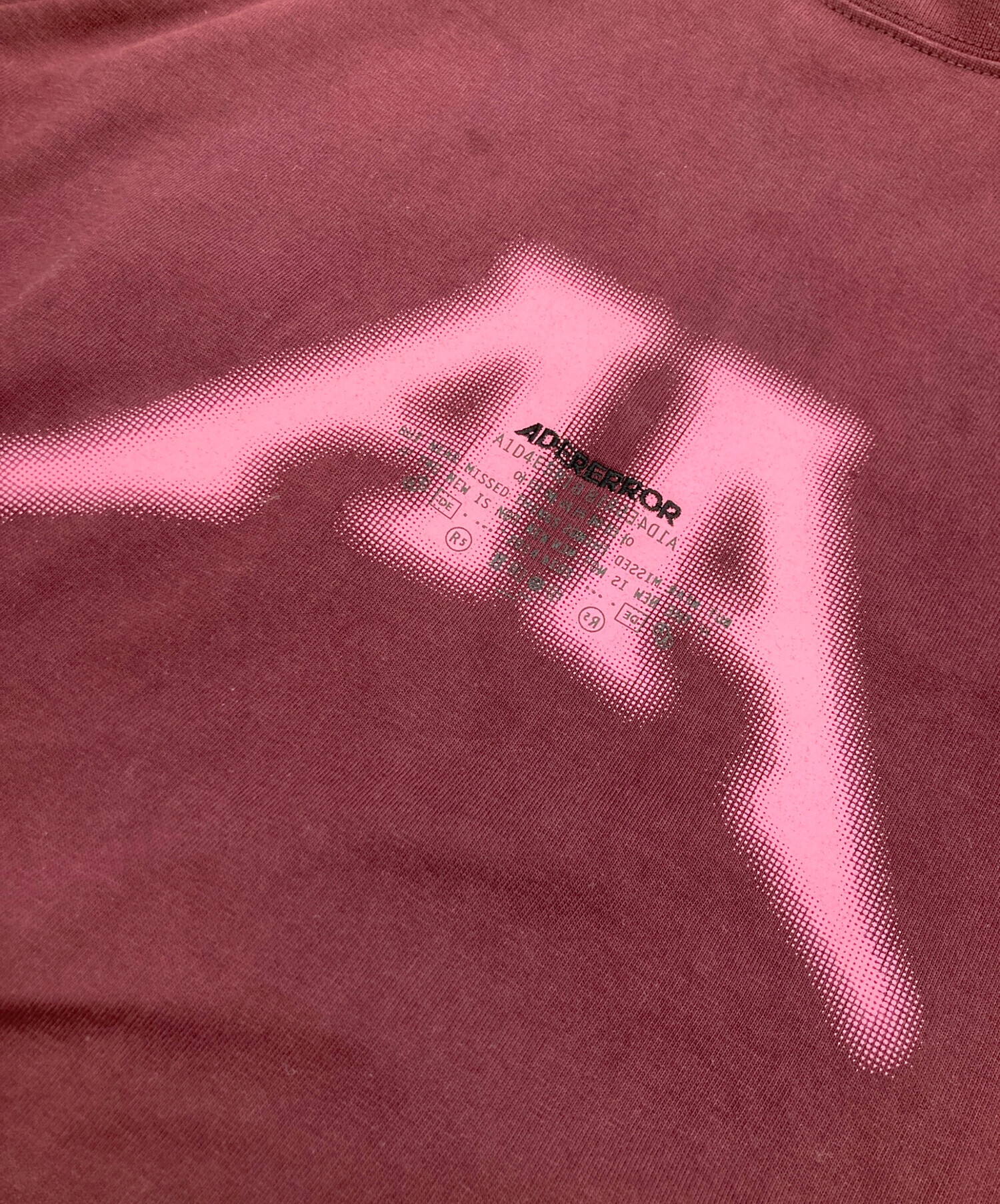 中古・古着通販】ADER error (アーダーエラー) Nolc logo reglan t 