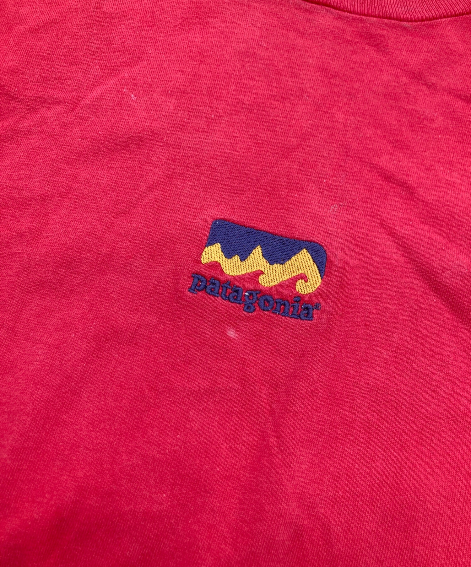 中古・古着通販】Patagonia (パタゴニア) Beneficial T's ロゴTシャツ