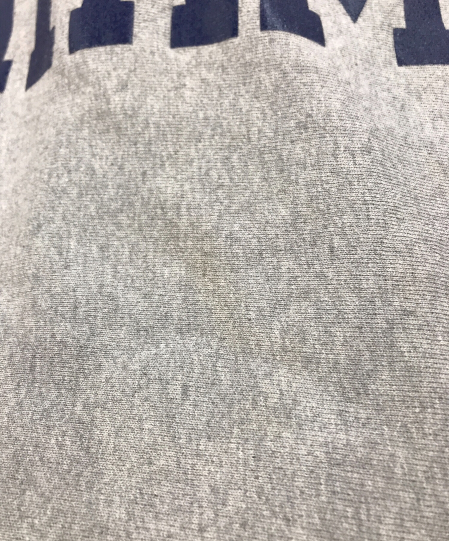 中古・古着通販】Champion REVERSE WEAVE (チャンピオンリバース