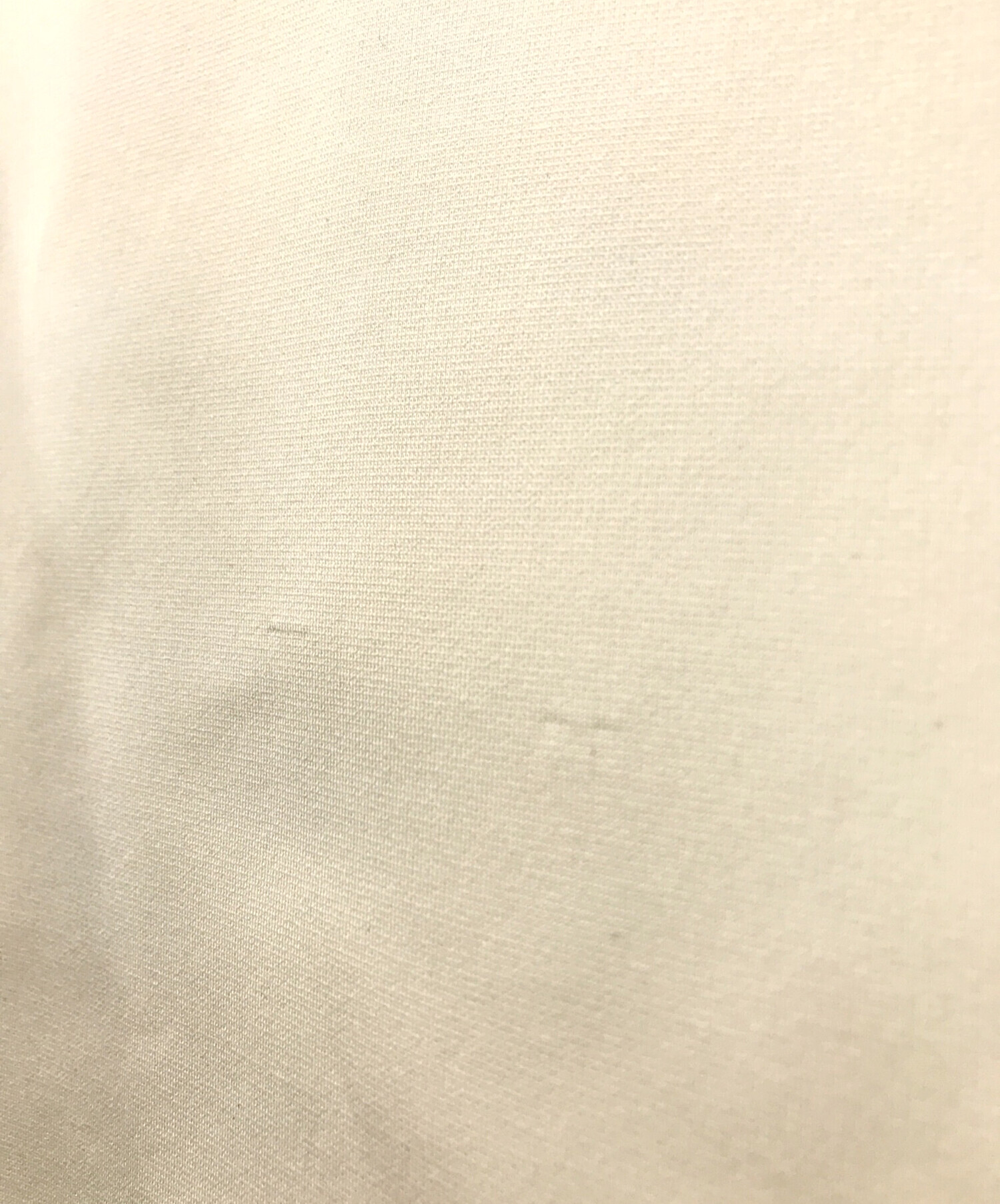 中古・古着通販】LE PHIL (ル フィル) スキューバジャージートップス