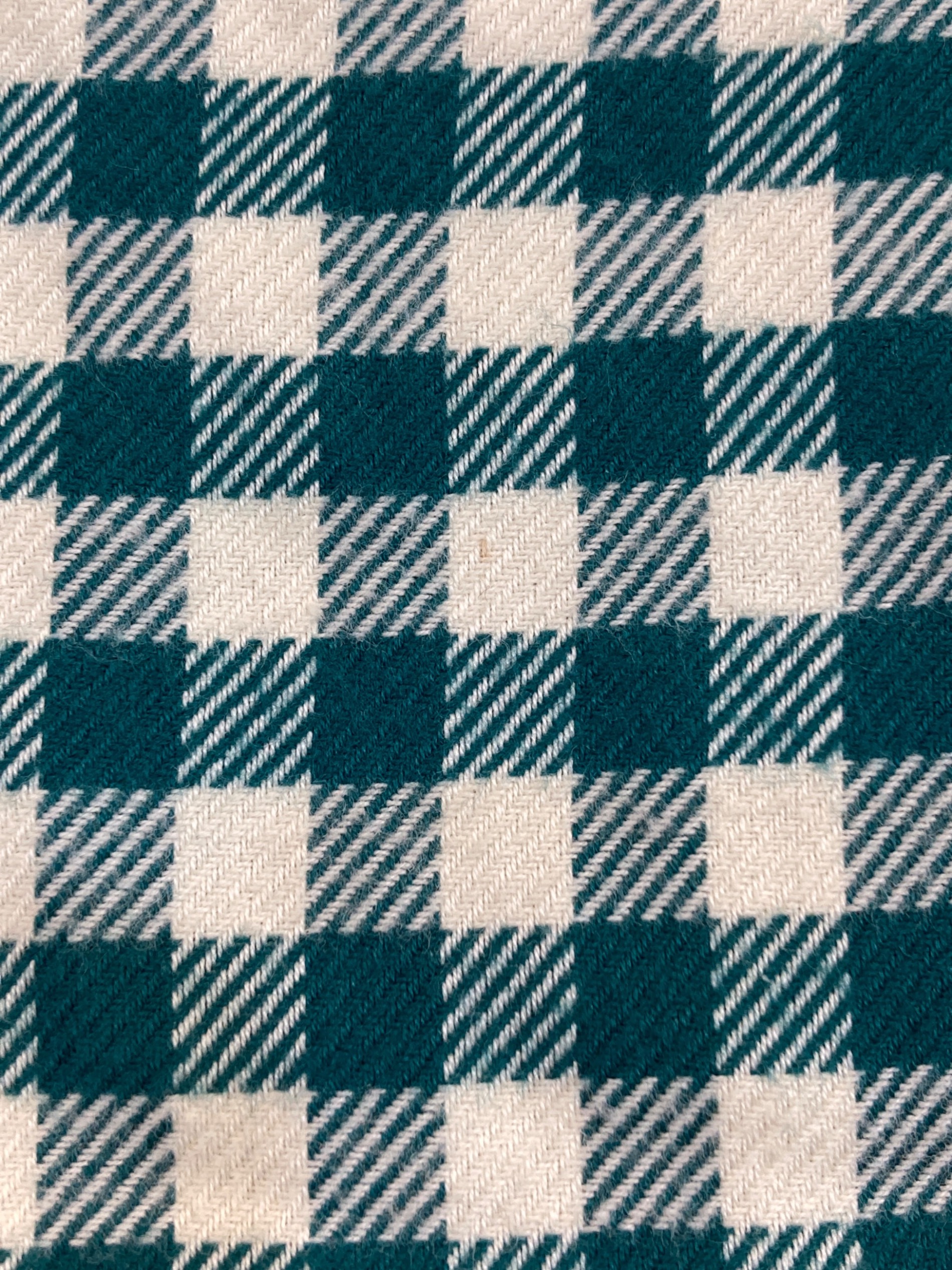 中古・古着通販】HERMES (エルメス) ギンガムチェックシャツ グリーン