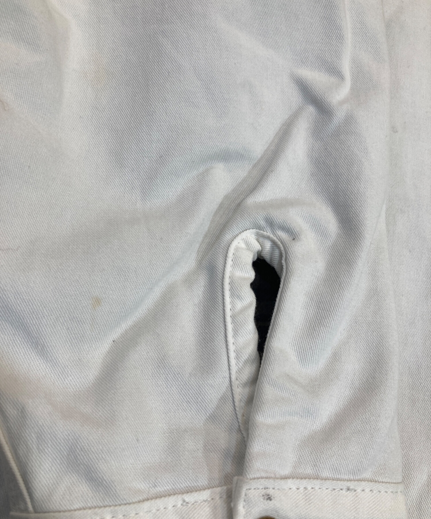 中古・古着通販】Dickies (ディッキーズ) sherwin-williams ワーク