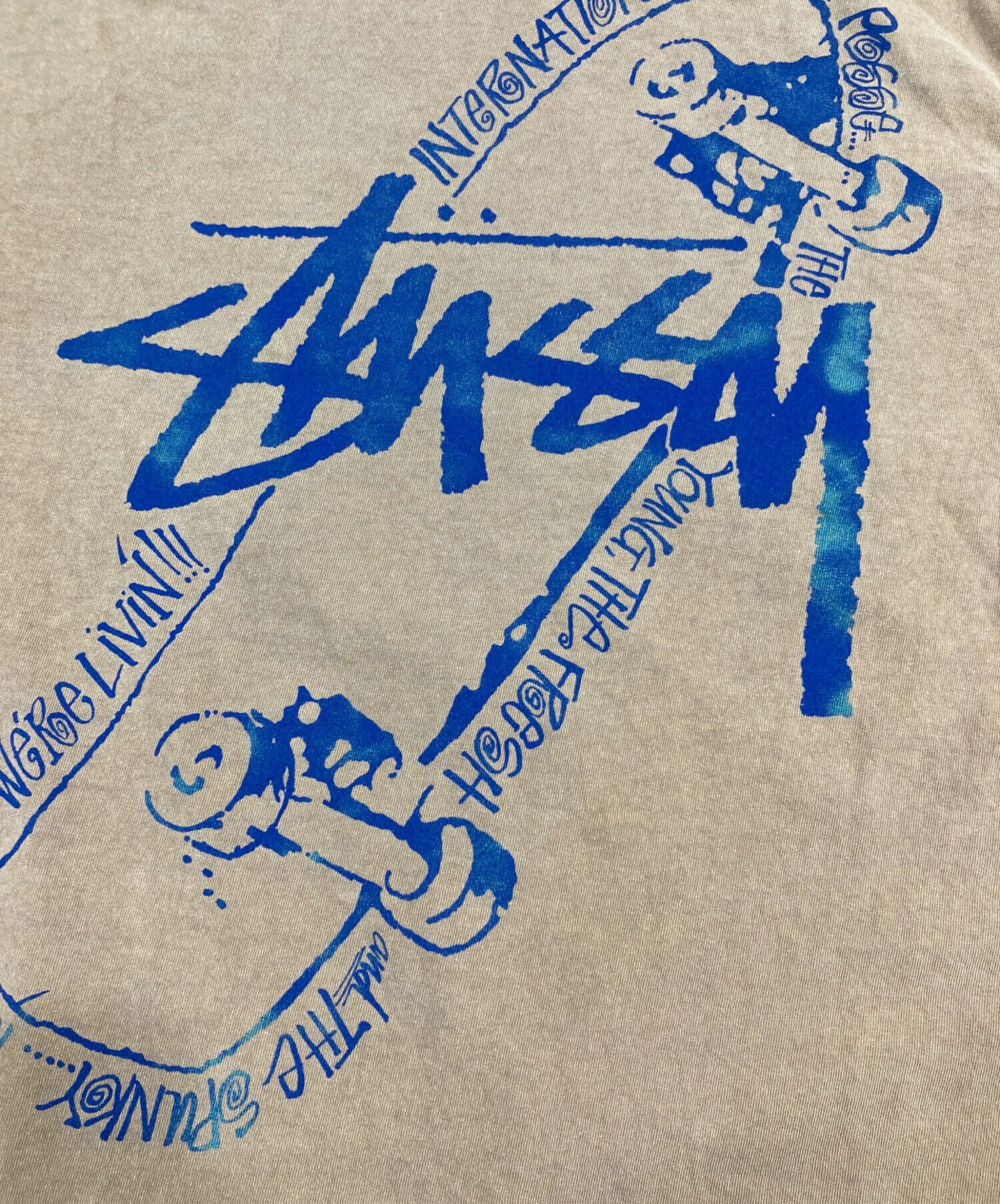 中古・古着通販】stussy (ステューシー) Skate Posse Pigment Dyed L/S