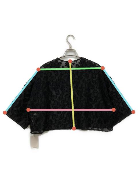 中古・古着通販】LOHEN (ローヘン) SHEER JACQUARD CROPPED BLOUSE
