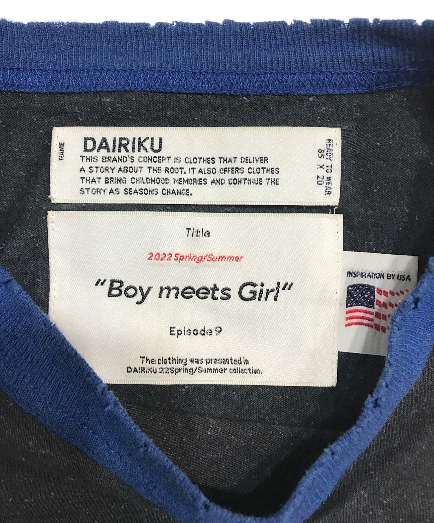 中古・古着通販】DAIRIKU (ダイリク) The Summer Tour Raglan Tee 
