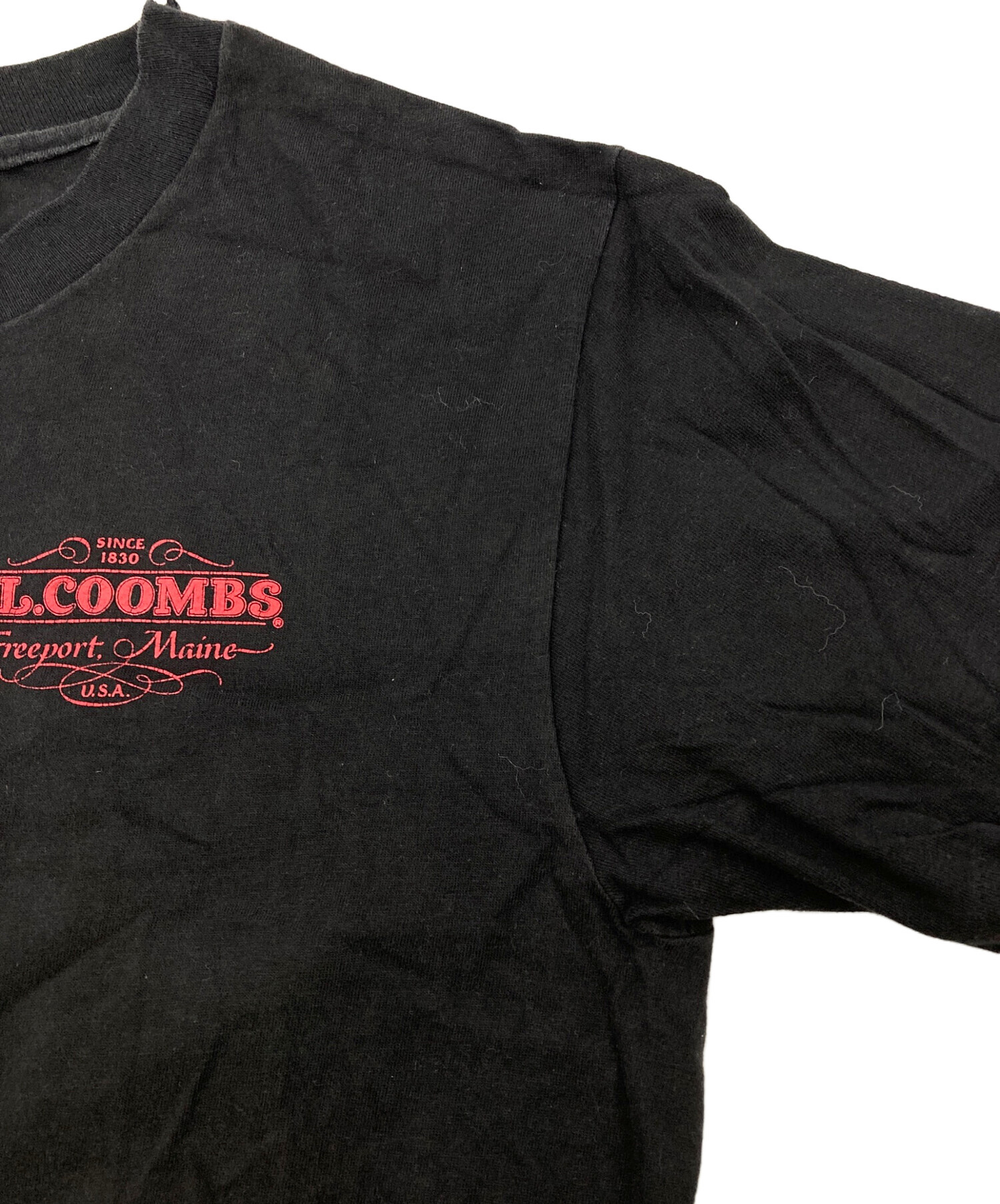 中古・古着通販】Hanes (ヘインズ) 90s Print Tee ブラック サイズ:M 