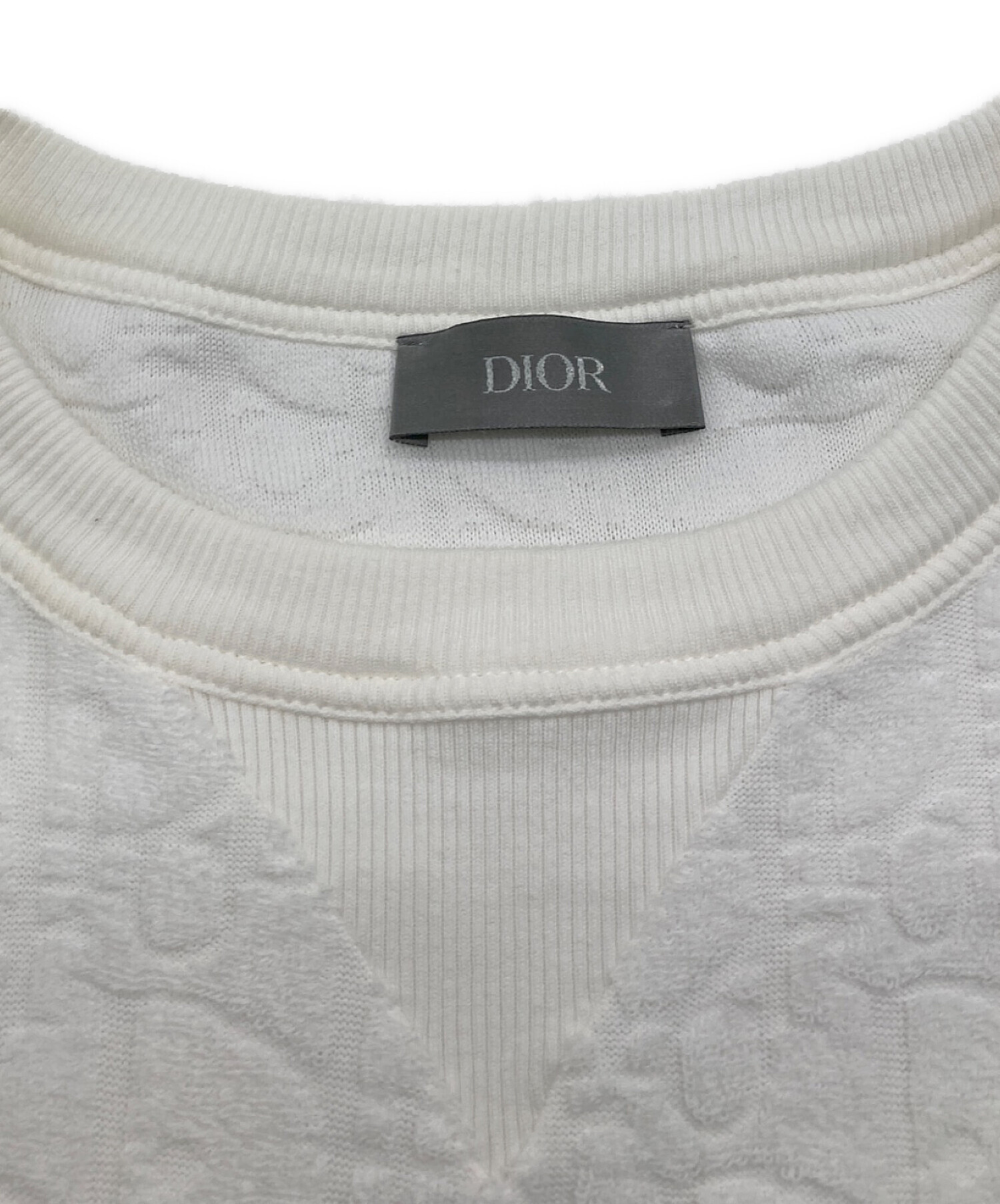 中古・古着通販】Dior (ディオール) オブリーク トロッター パイル 