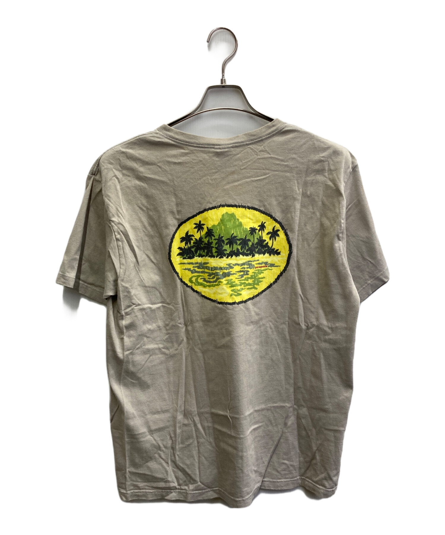 中古・古着通販】Patagonia Beneficial T's (パタゴニア ベネ