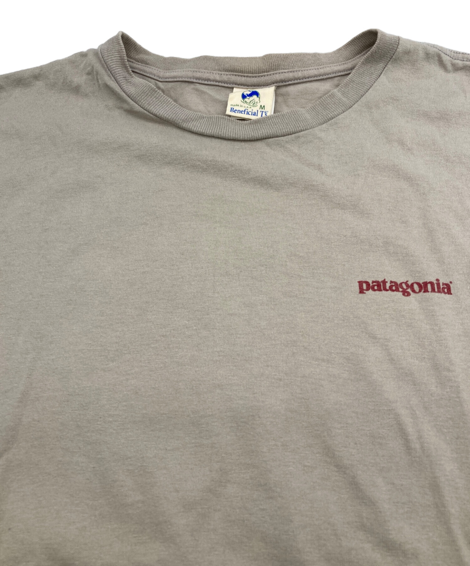 中古・古着通販】Patagonia Beneficial T's (パタゴニア ベネ