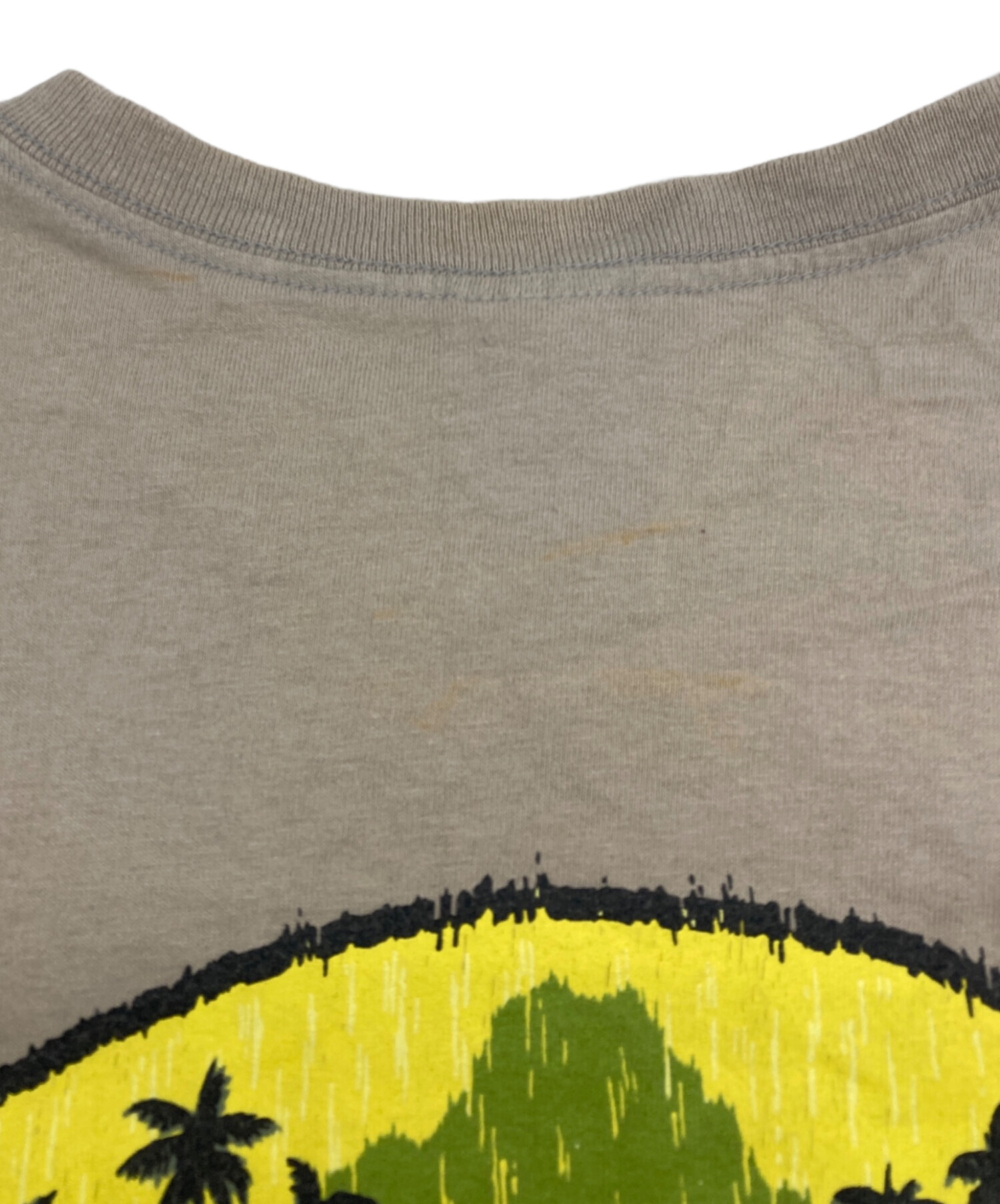 中古・古着通販】Patagonia Beneficial T's (パタゴニア ベネ