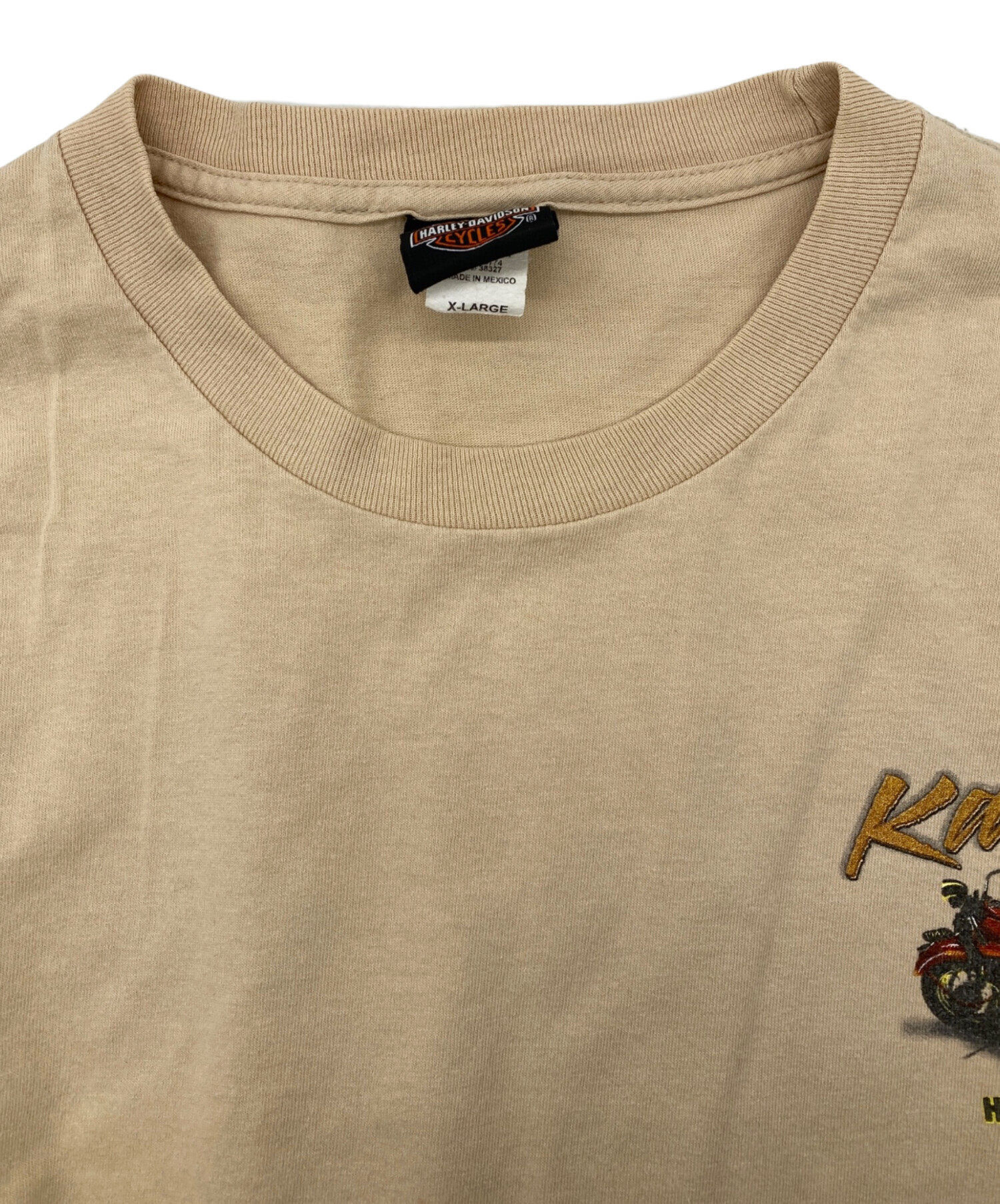 中古・古着通販】HARLEY-DAVIDSON (ハーレーダビッドソン) ピンナップ