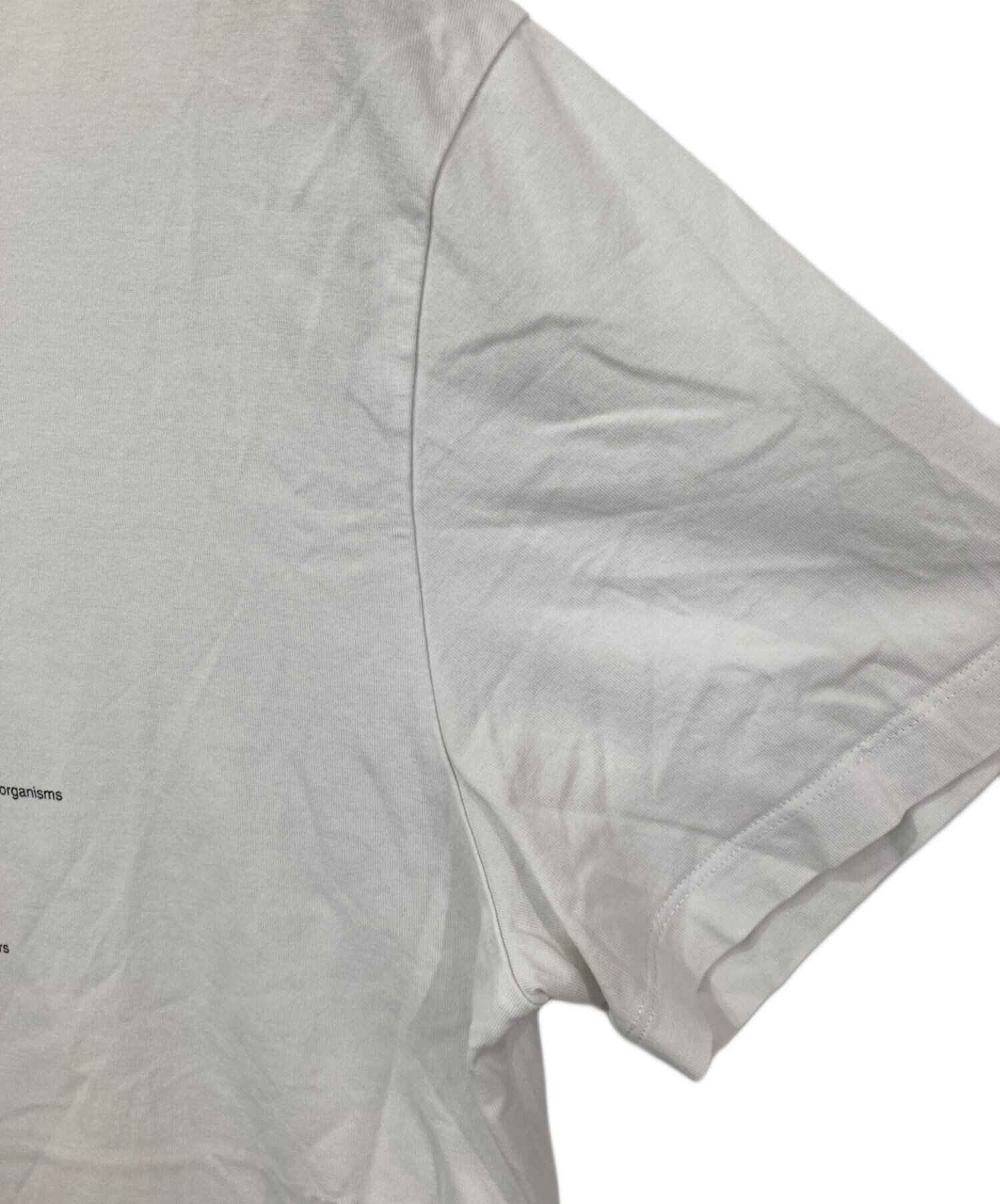 中古・古着通販】STELLA McCARTNEY (ステラマッカートニー) プリントT