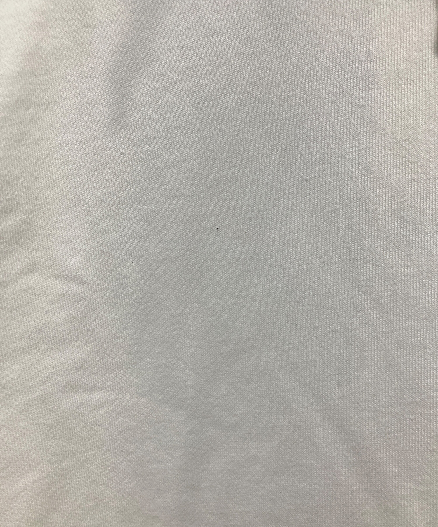 中古・古着通販】GDC (ジーディーシー) RIP SLYME (リップスライム