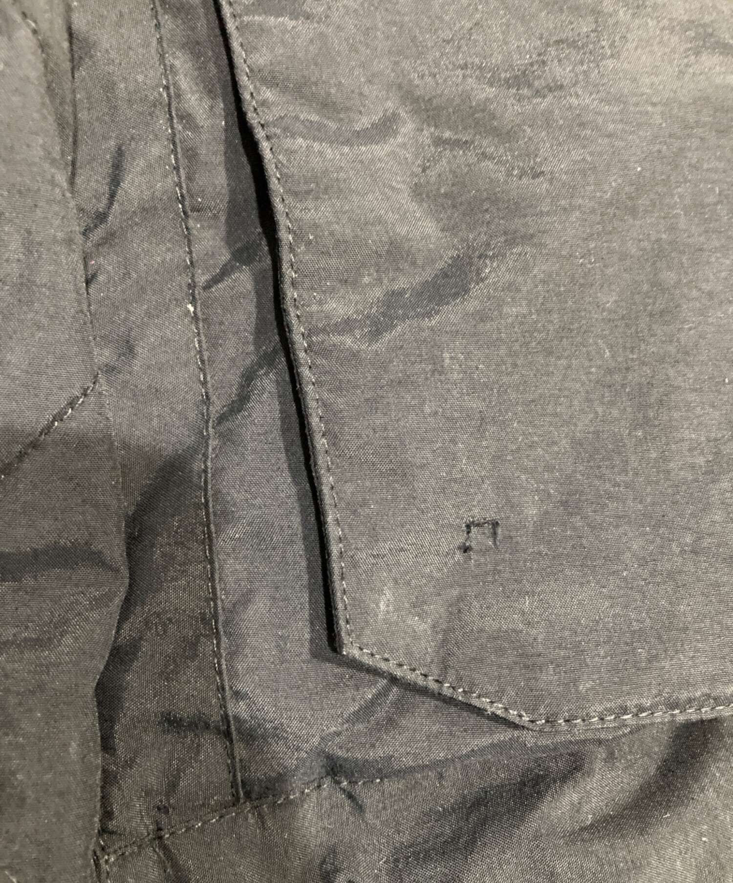 中古・古着通販】stussy (ステューシー) GORE Windstopper Polar Down