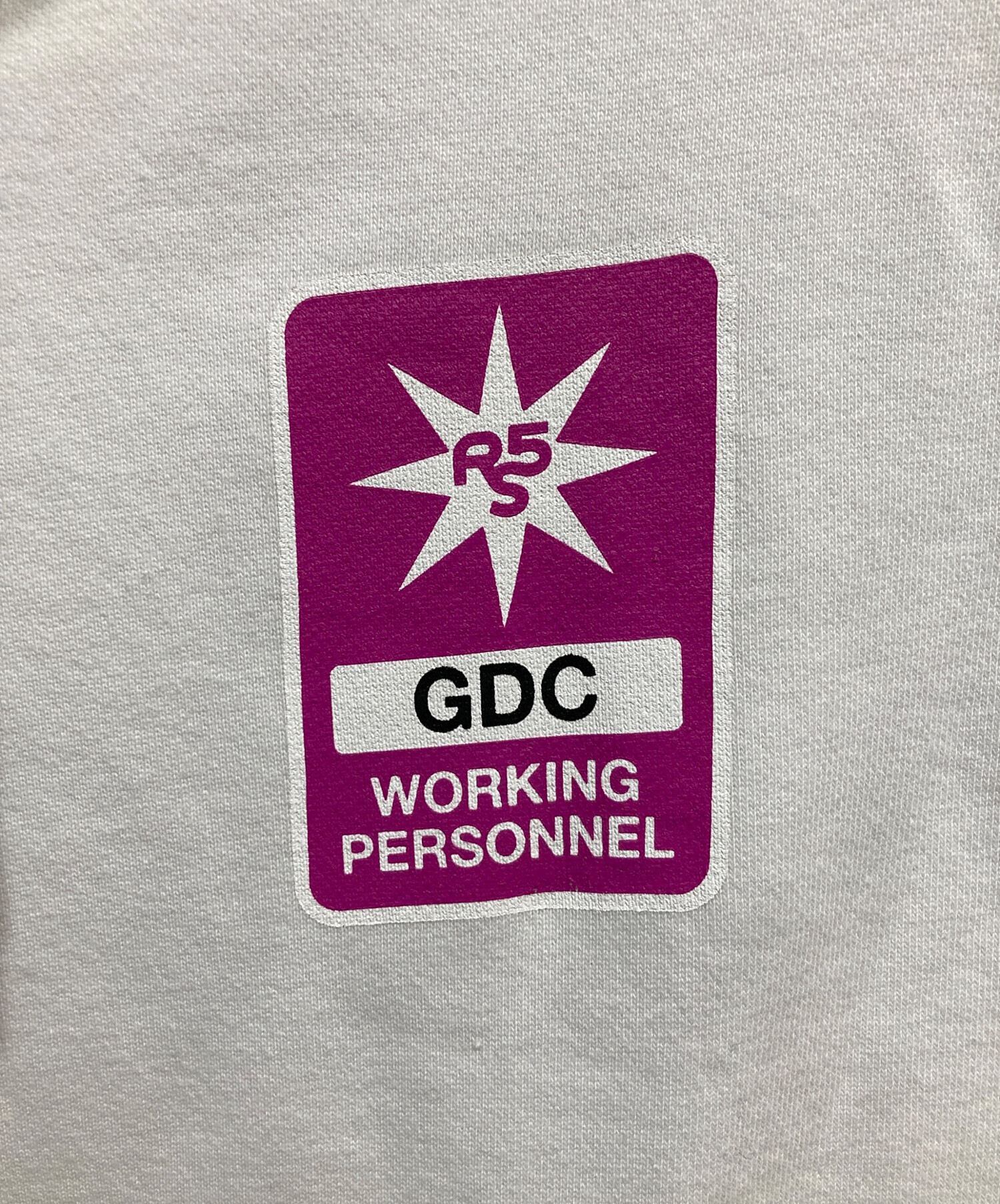 中古・古着通販】GDC (ジーディーシー) RIP SLYME (リップスライム