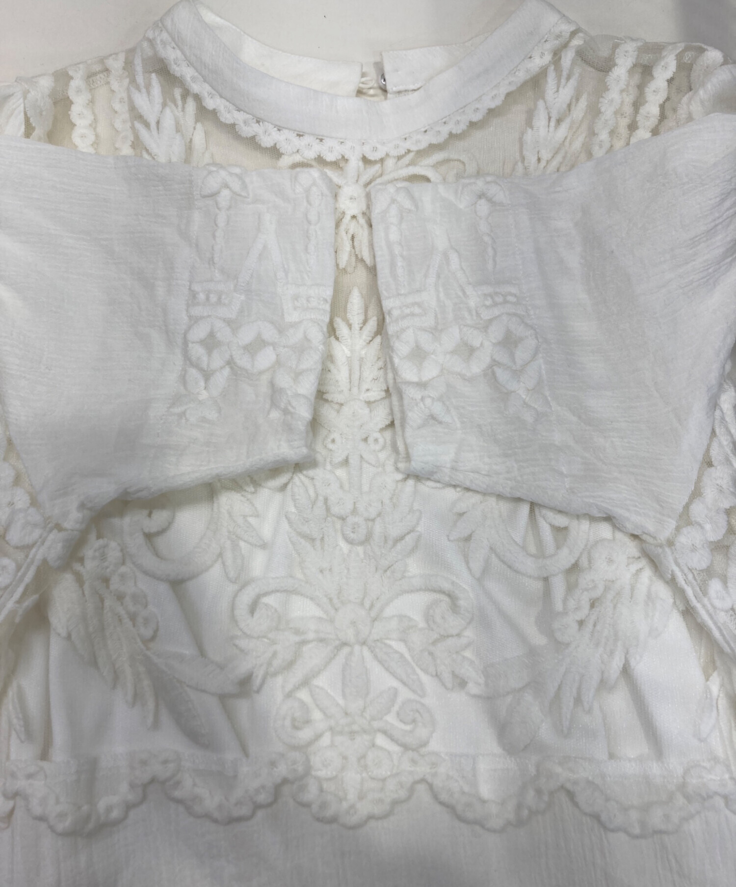 中古・古着通販】Ameri (アメリ) EMBROIDERY SHEER COTTON DRESS