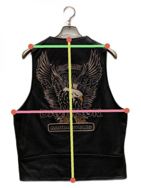 中古・古着通販】HARLEY-DAVIDSON (ハーレーダビッドソン) バックロゴ