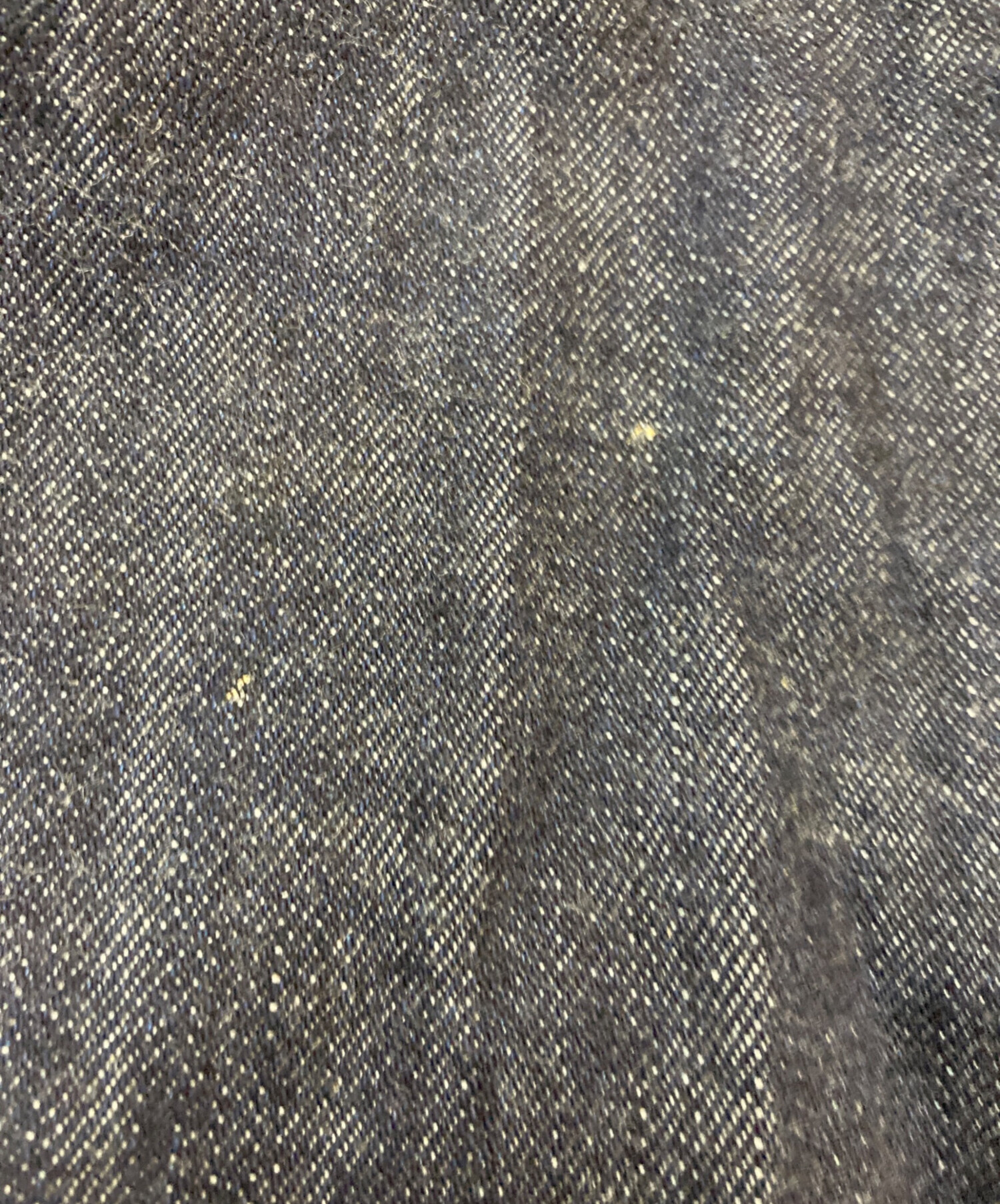 中古・古着通販】EVISU (エヴィス) 2000T デニムパンツ インディゴ 