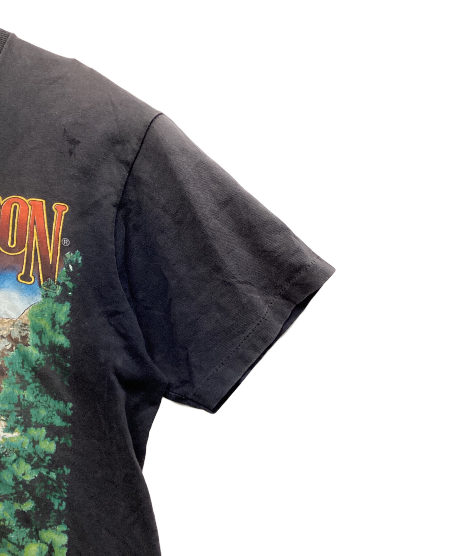 中古・古着通販】HARLEY-DAVIDSON (ハーレーダビッドソン) 90s