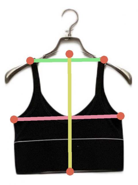 Alexander wang ブラトップ リブジャージー アレキサンダーワン 中古・古着通販】ALEXANDER WANG (アレキサンダー・ワン) リブ