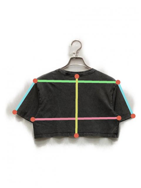 中古・古着通販】ALEXANDER WANG (アレキサンダー・ワン) クロップドT