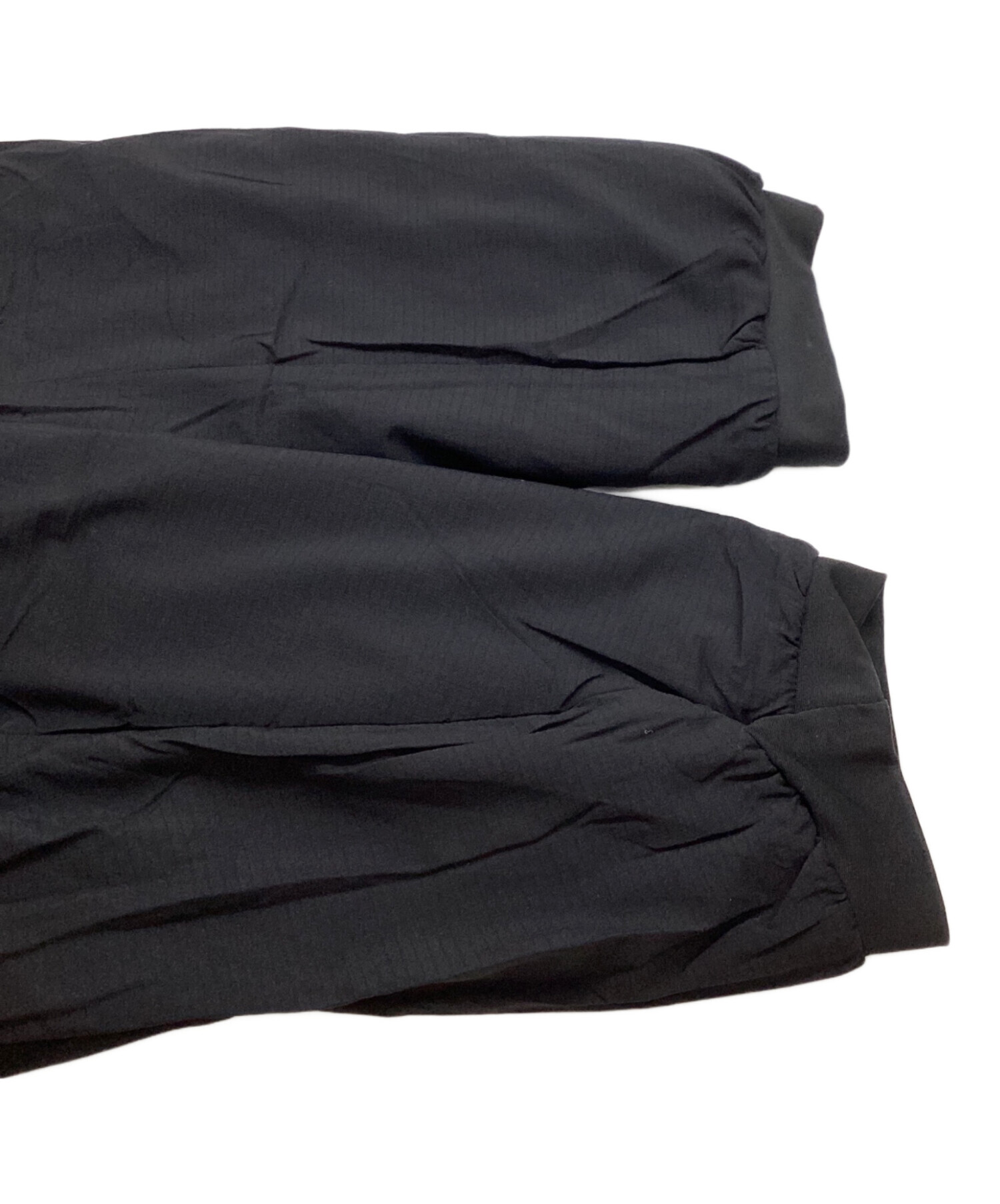 中古・古着通販】ARC'TERYX (アークテリクス) Atom AR Hoody/24105
