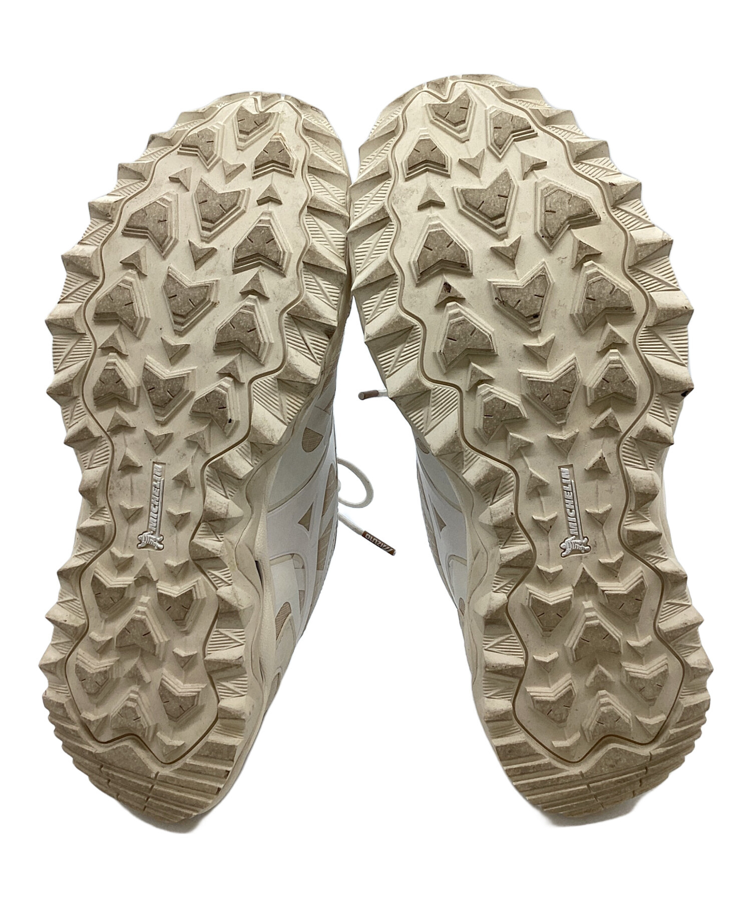 中古・古着通販】MIZUNO (ミズノ) Wave Mujin TL GTX / D1GA237304