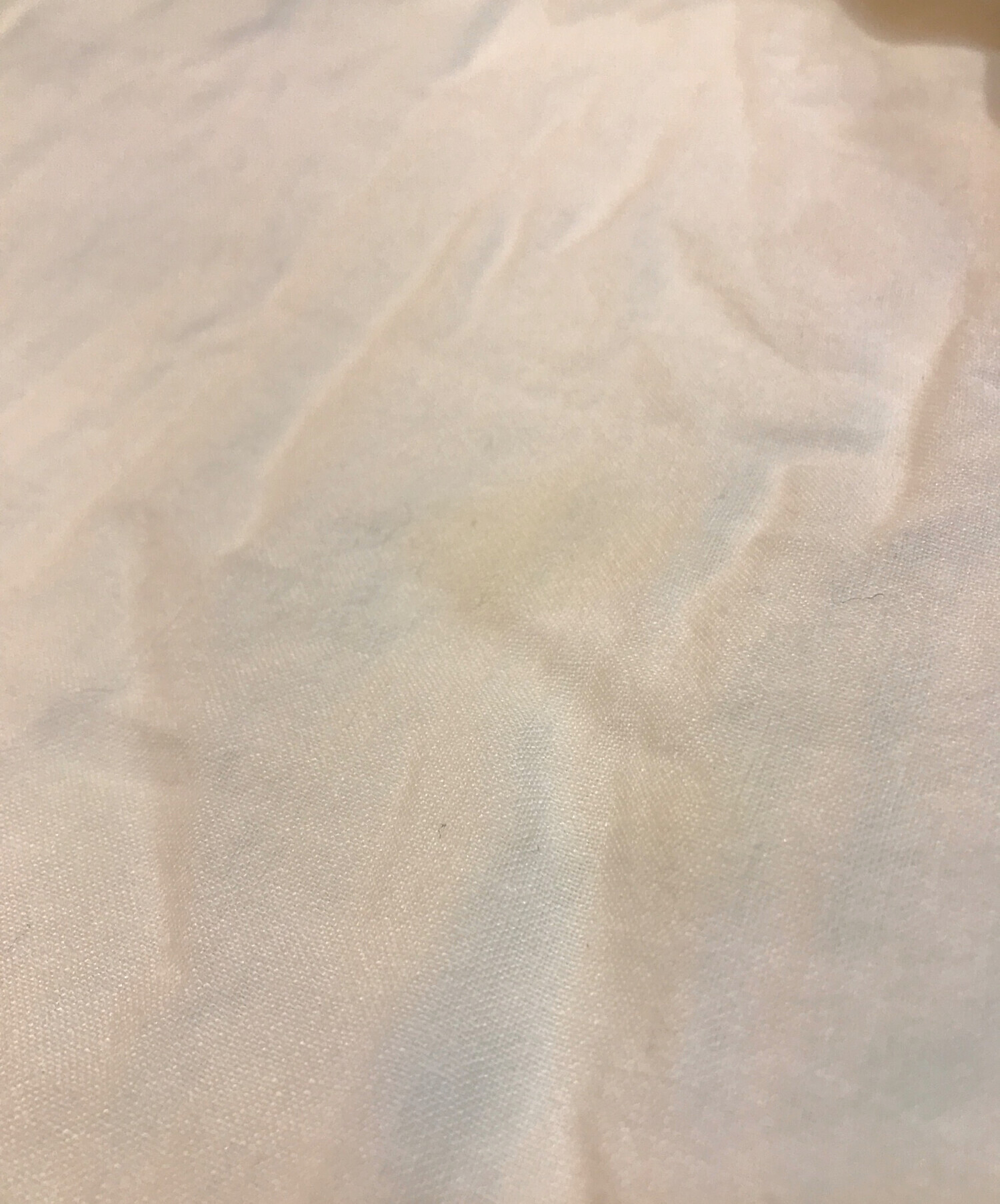 中古・古着通販】nest Robe (ネストローブ) リネン近江晒しプチフリル
