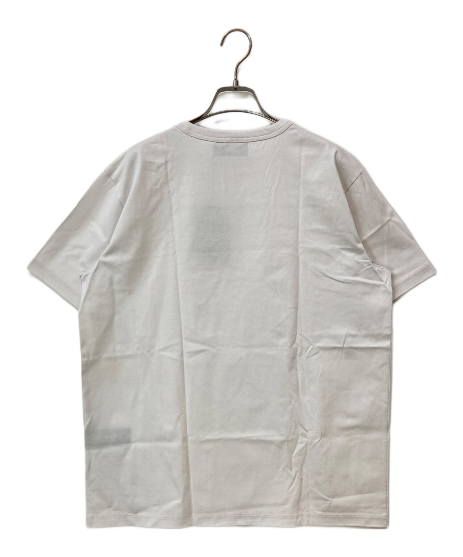 中古・古着通販】THE RERACS (ザ リラクス) 80/3ディオラマコットンT 