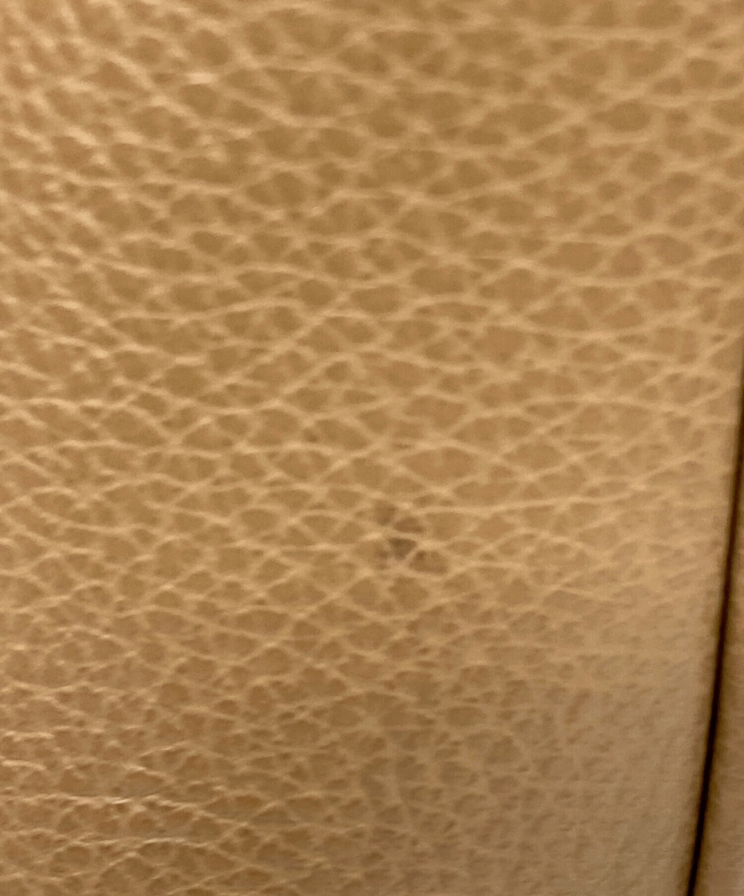 中古・古着通販】FURLA (フルラ) シエナ 2WAYショルダーバッグ