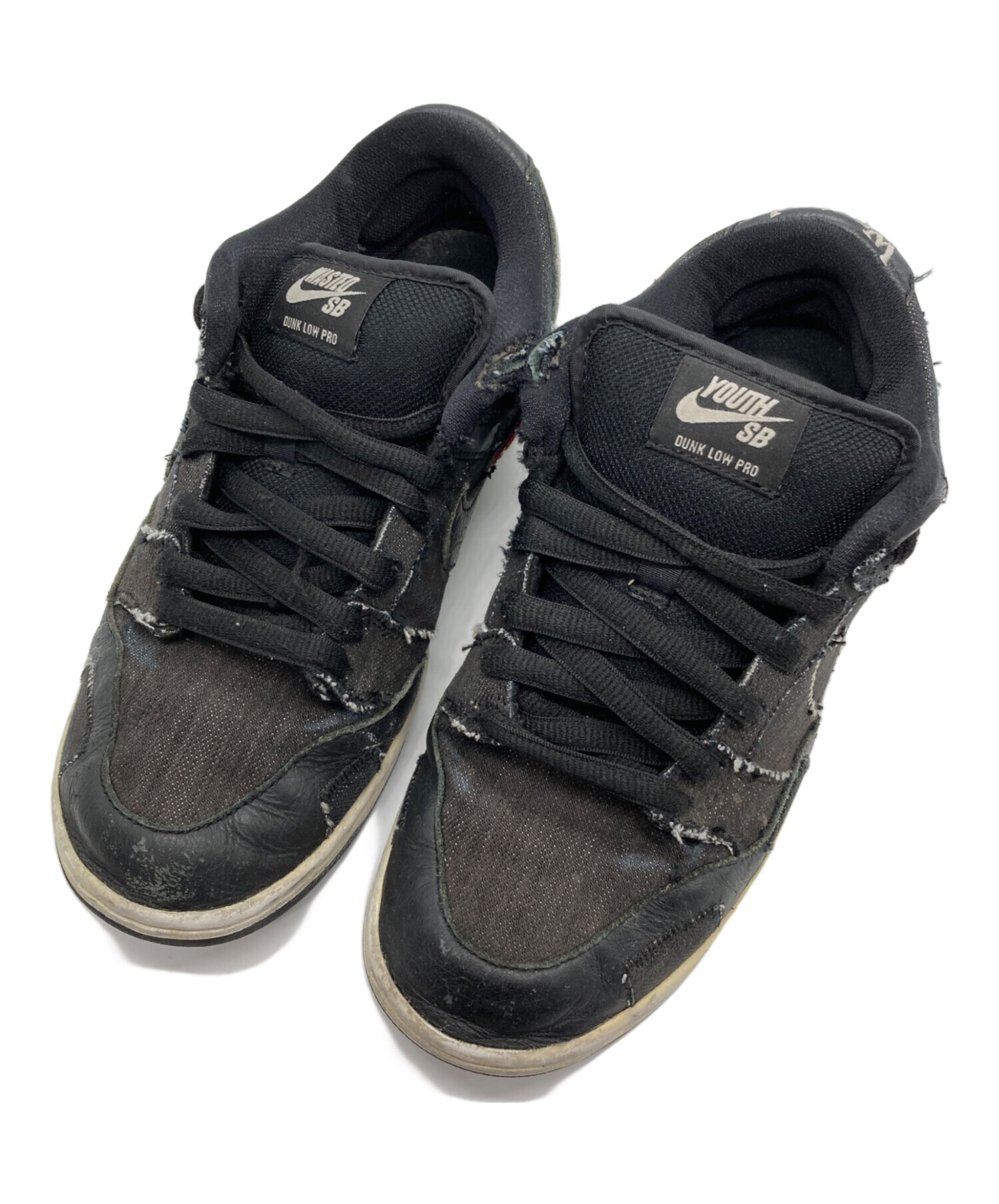 Wasted Youth × Nike SB Dunk Low 