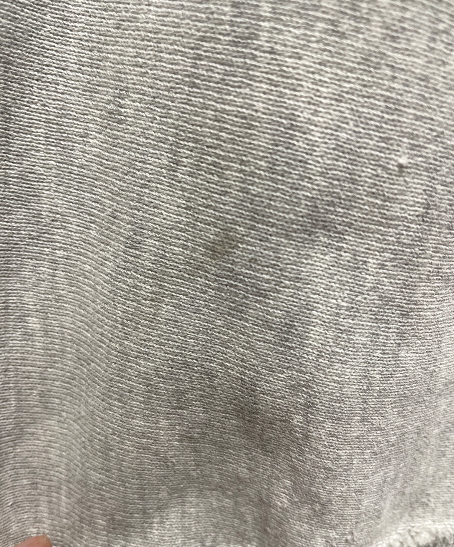 中古・古着通販】Champion REVERSE WEAVE (チャンピオン リバース